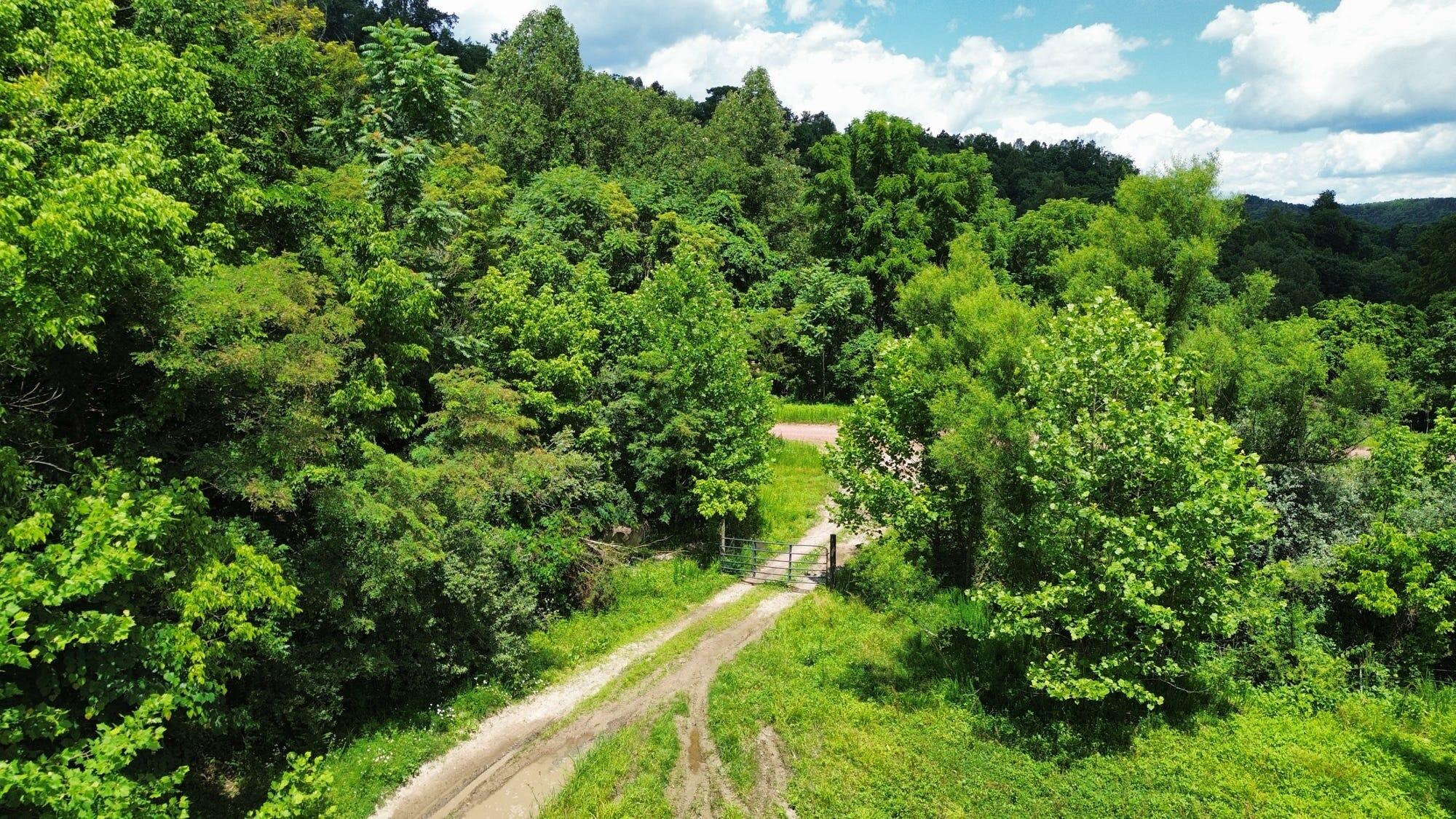 3800a Butcher Hollow Rd Property Photo 31