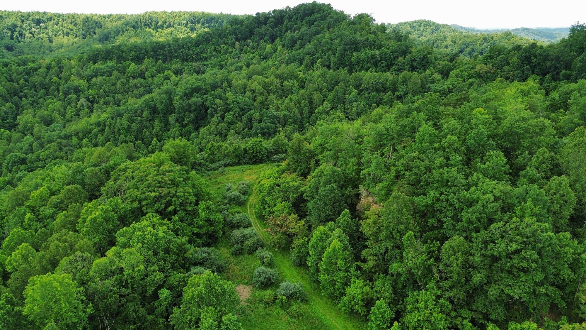 3800a Butcher Hollow Rd Property Photo 32