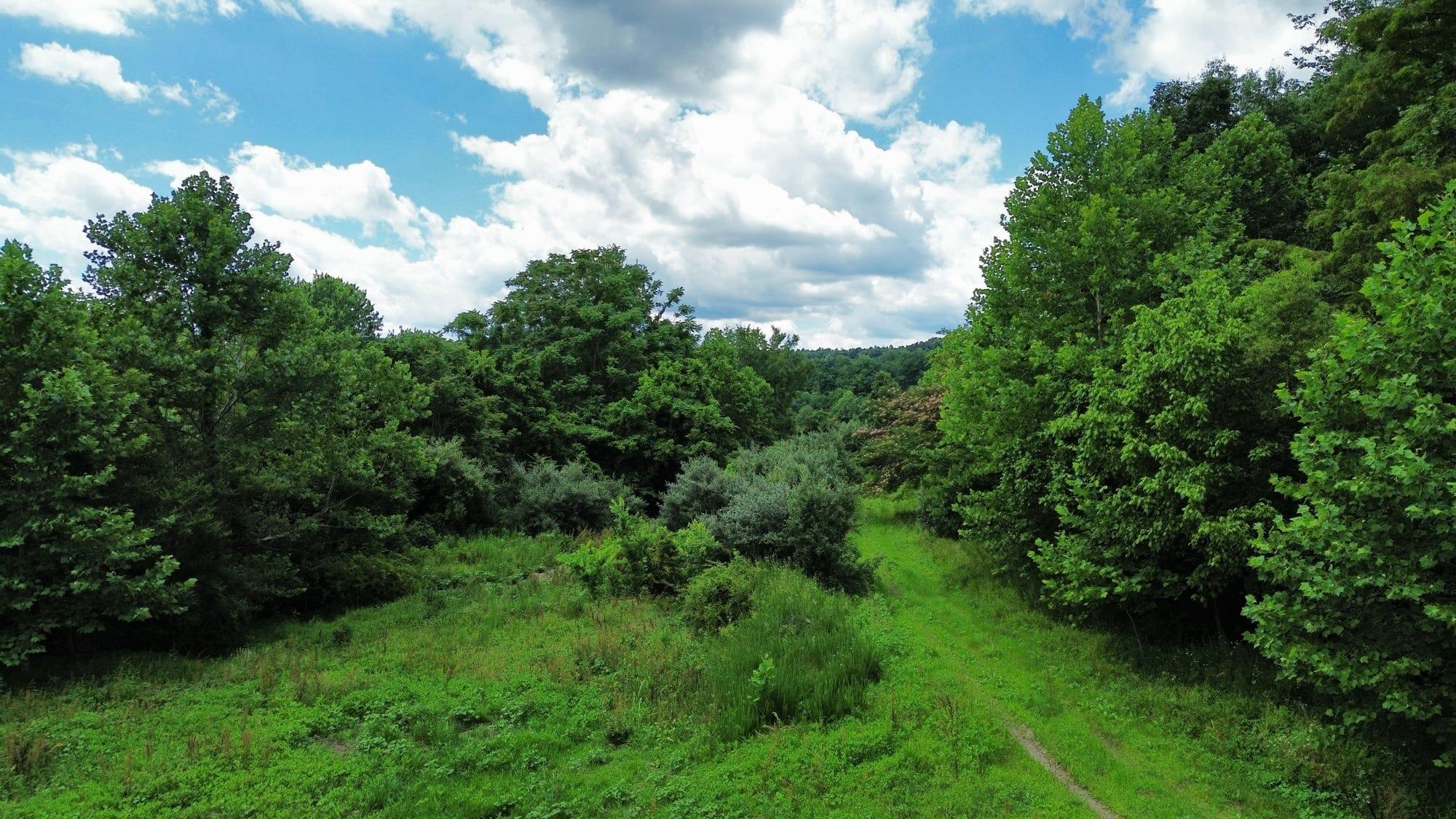 3800a Butcher Hollow Rd Property Photo 33