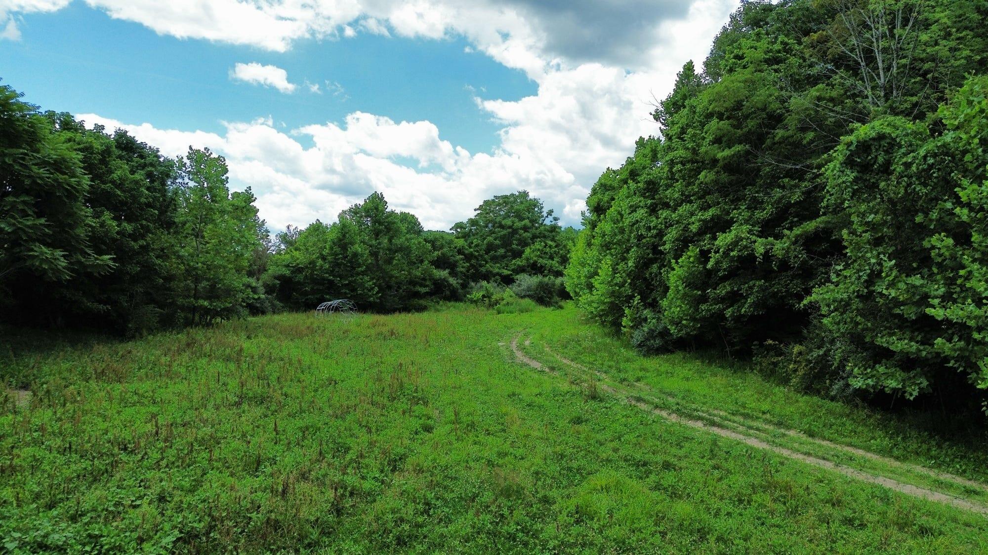 3800a Butcher Hollow Rd Property Photo 34