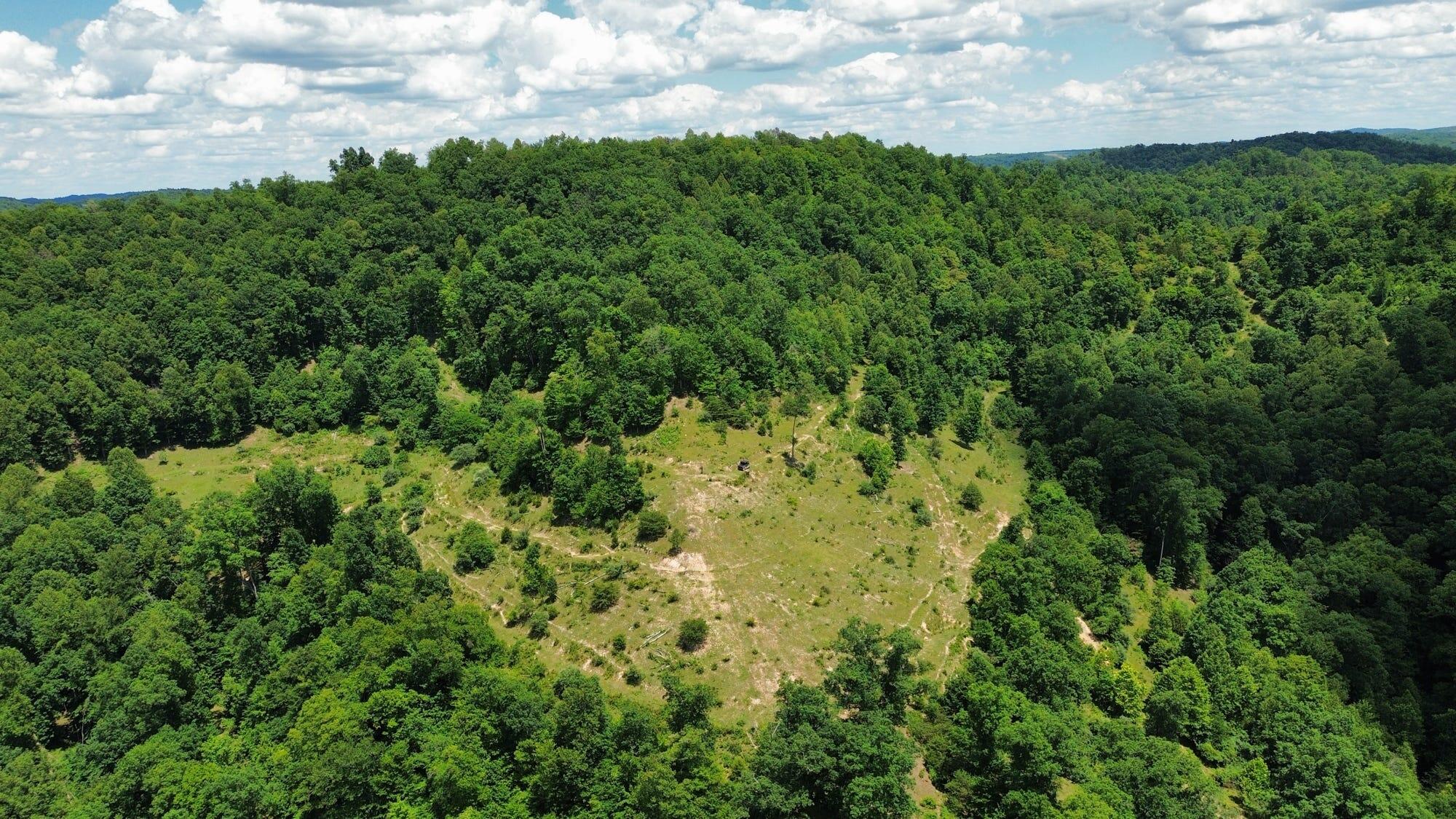 3800a Butcher Hollow Rd Property Photo 35