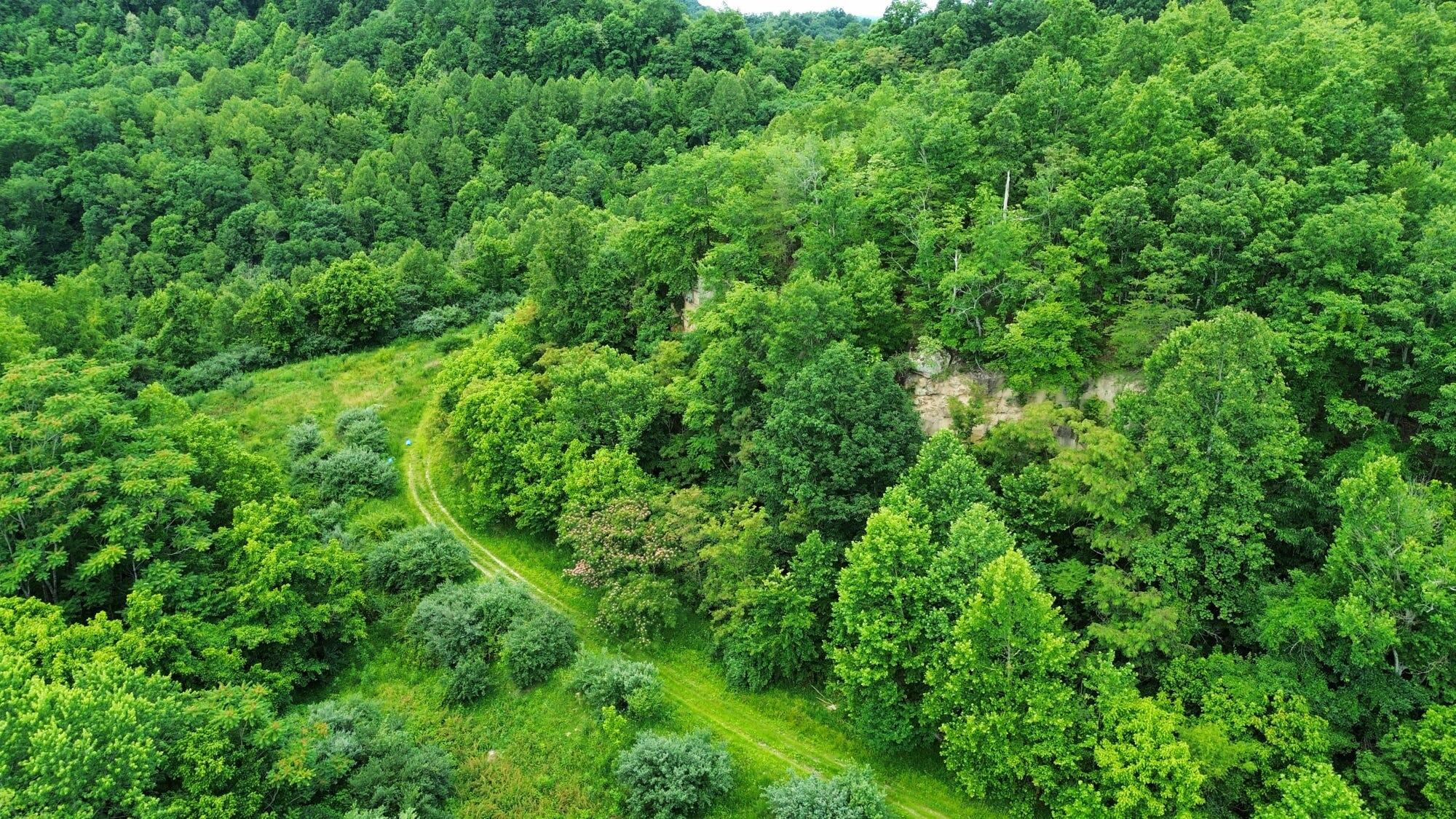 3800a Butcher Hollow Rd Property Photo 37