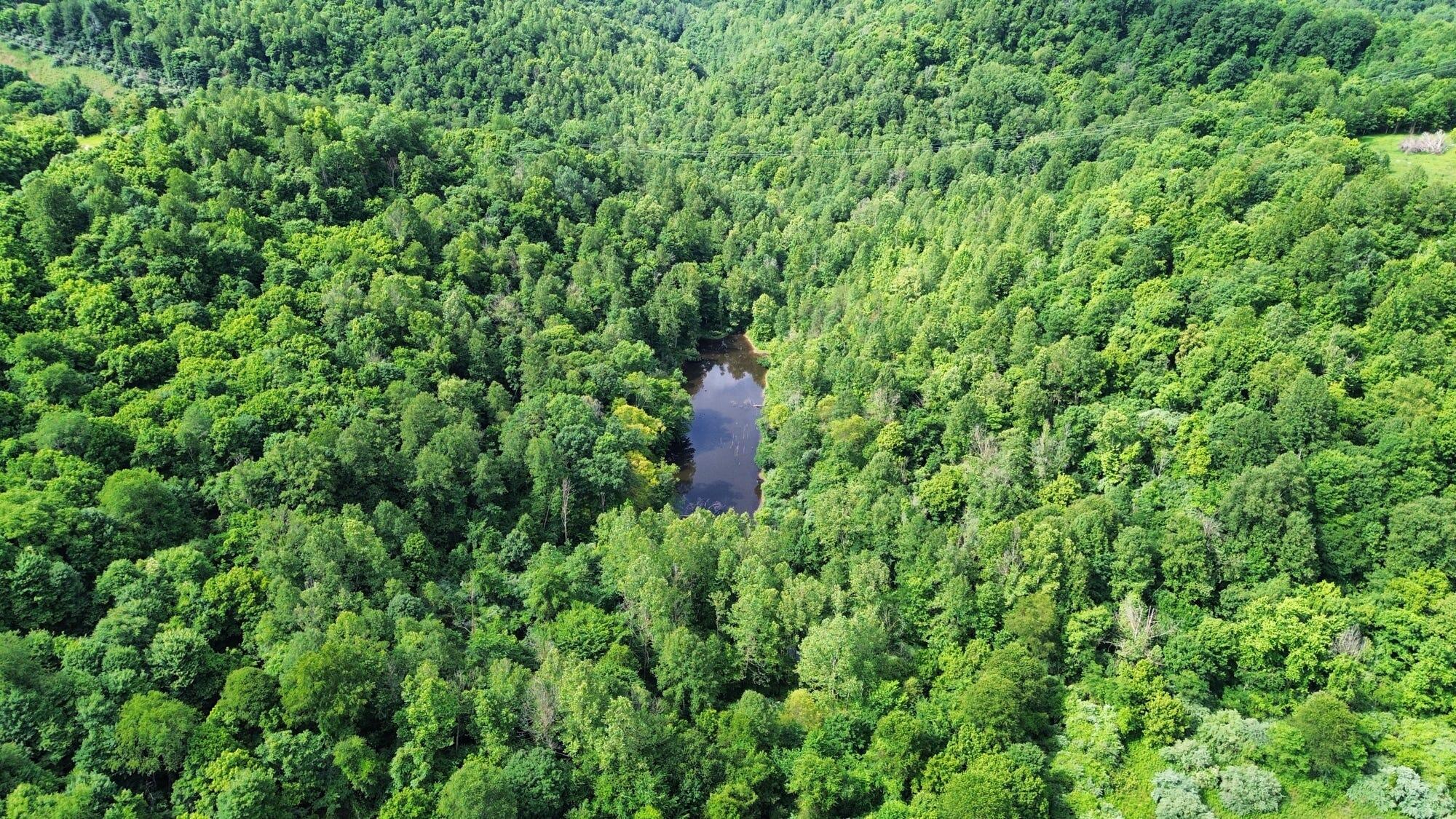 3800a Butcher Hollow Rd Property Photo 40