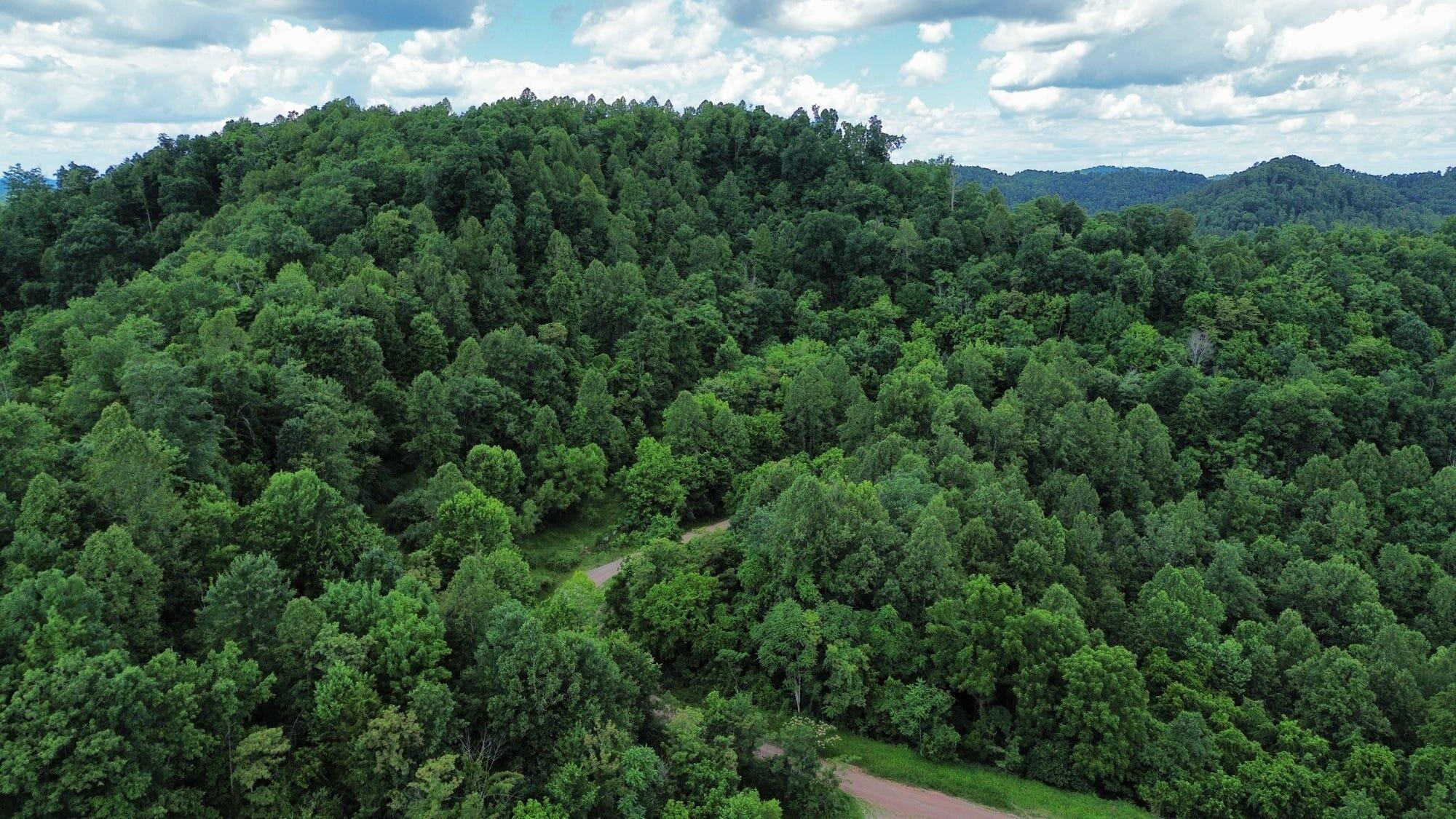 3800a Butcher Hollow Rd Property Photo 43