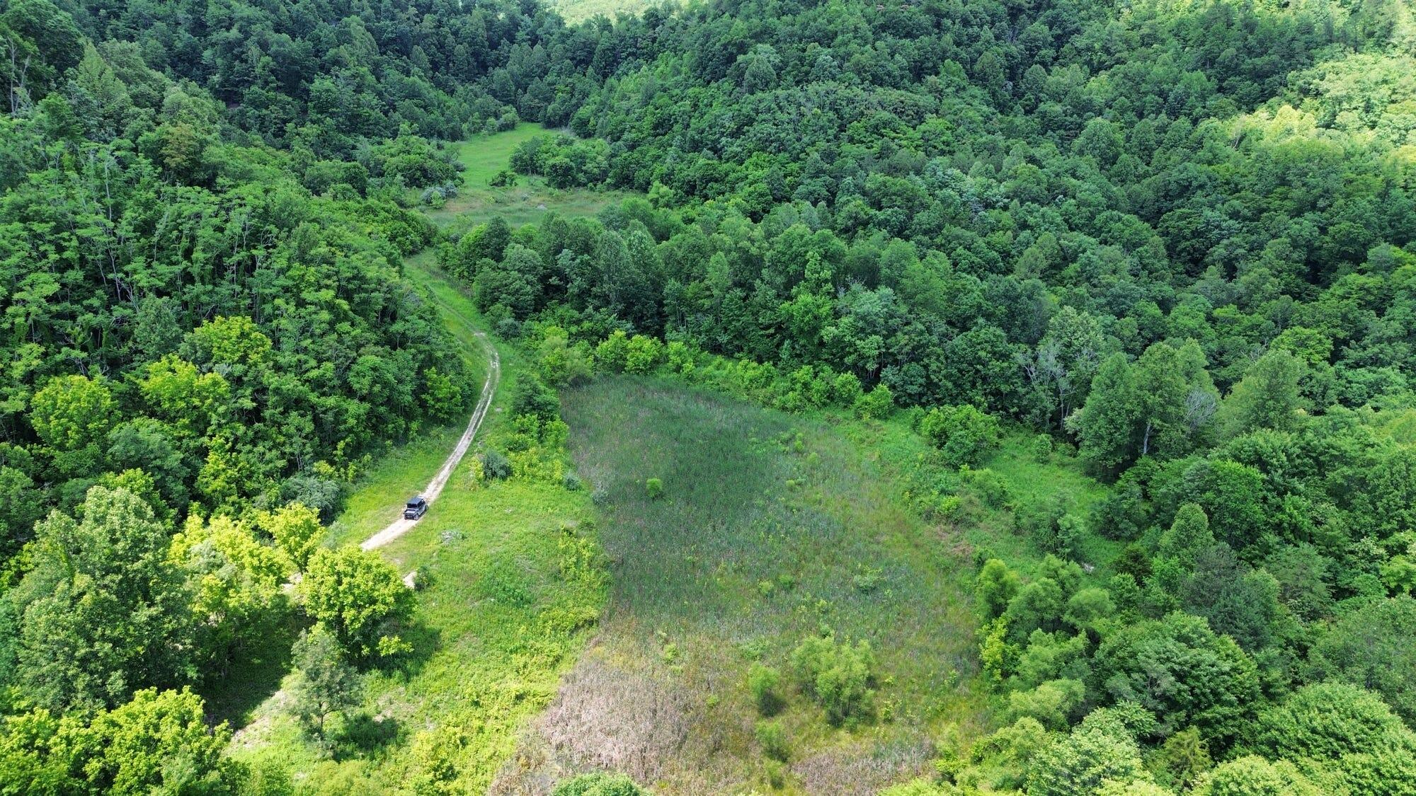 3800a Butcher Hollow Rd Property Photo 45