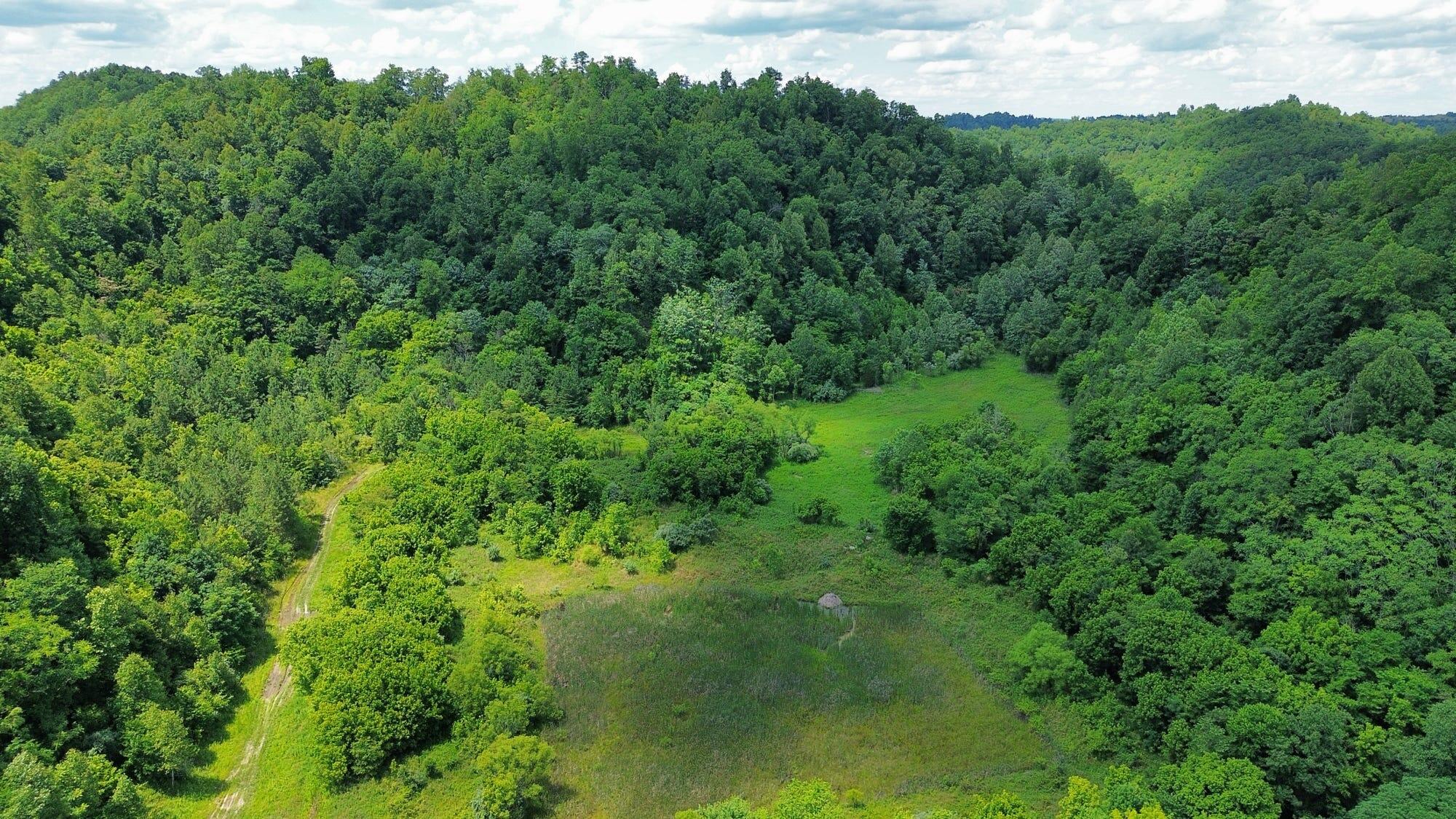 3800a Butcher Hollow Rd Property Photo 46