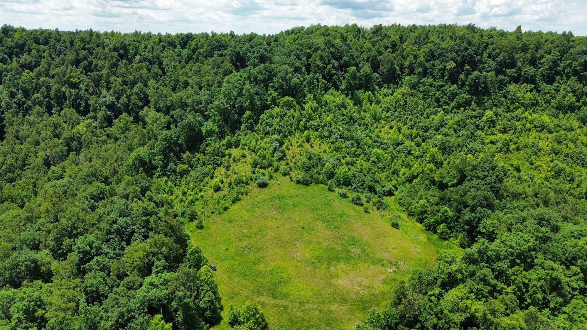 3800a Butcher Hollow Rd Property Photo 49