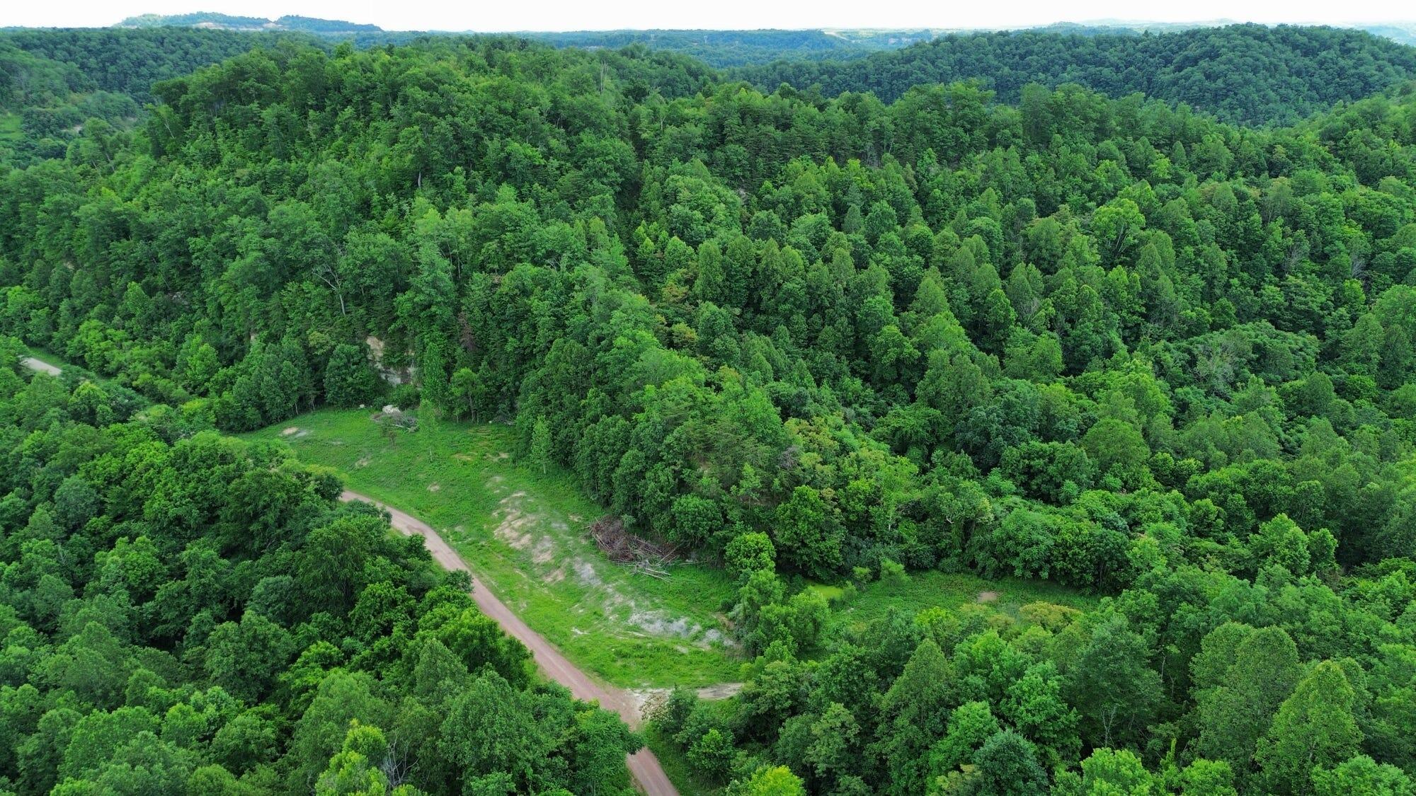 3800a Butcher Hollow Rd Property Photo 50