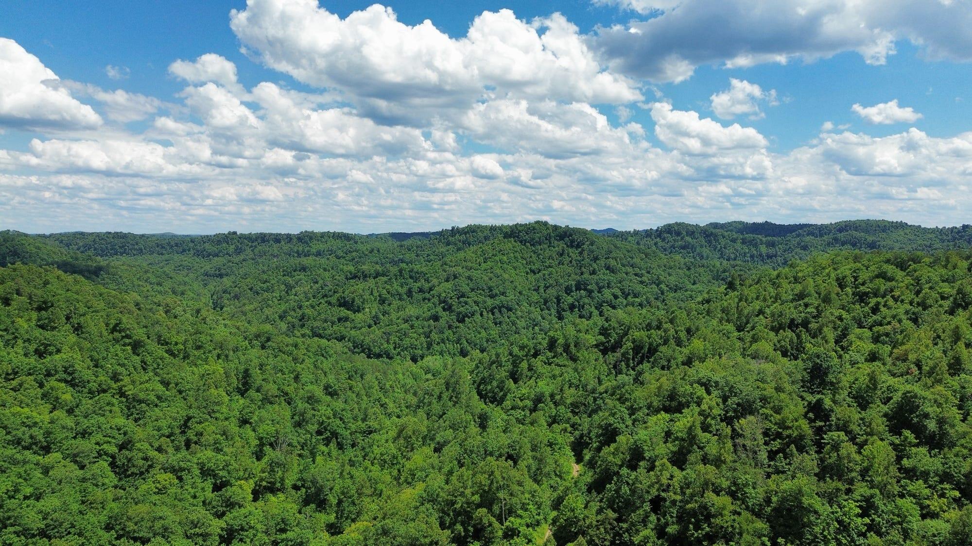 3800a Butcher Hollow Rd Property Photo 51