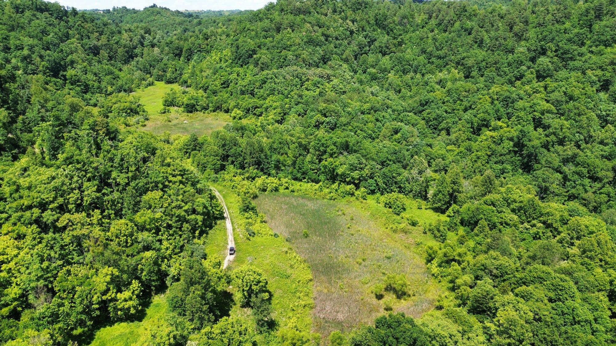 3800a Butcher Hollow Rd Property Photo 52