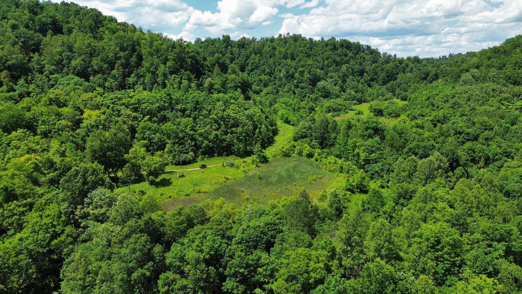3800a Butcher Hollow Rd Property Photo 53