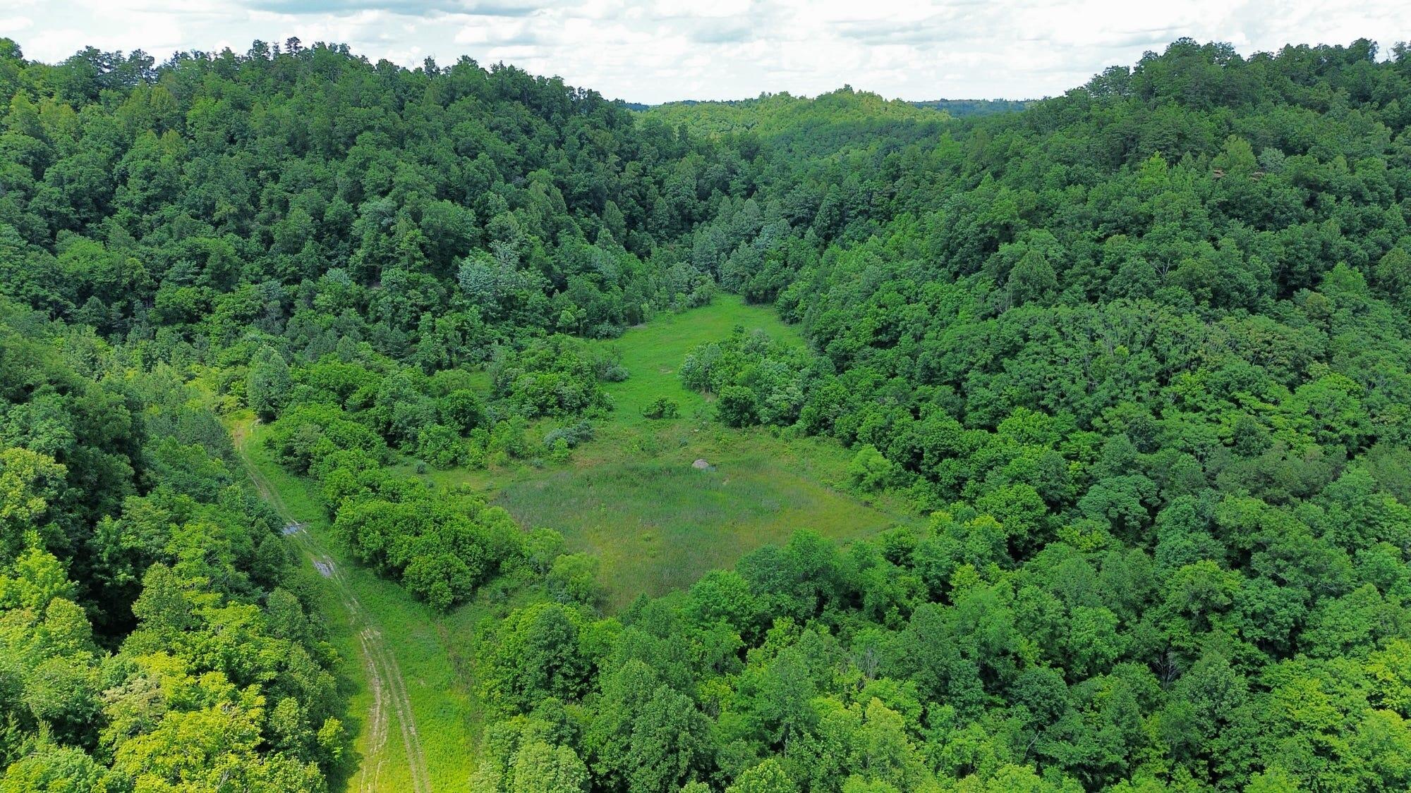 3800a Butcher Hollow Rd Property Photo 54