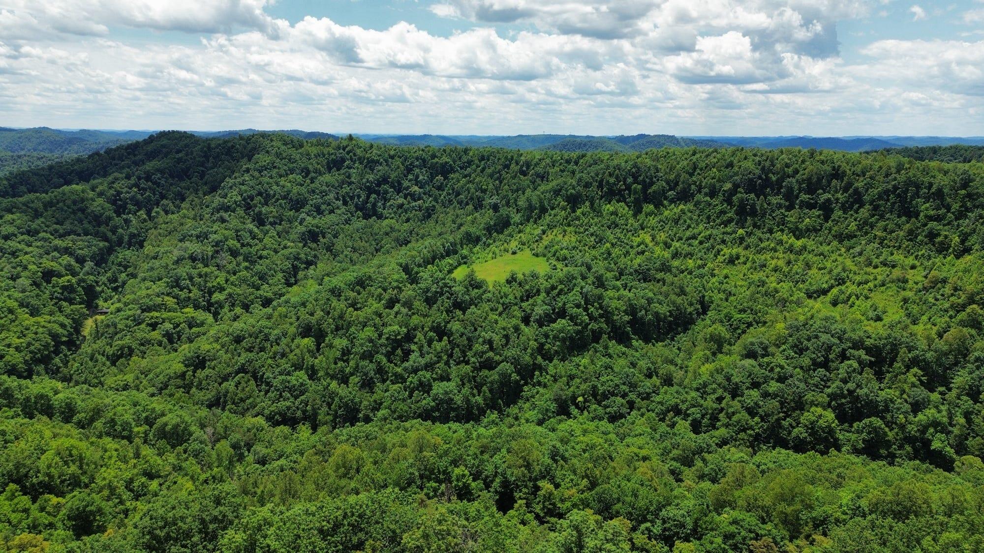 3800a Butcher Hollow Rd Property Photo 55