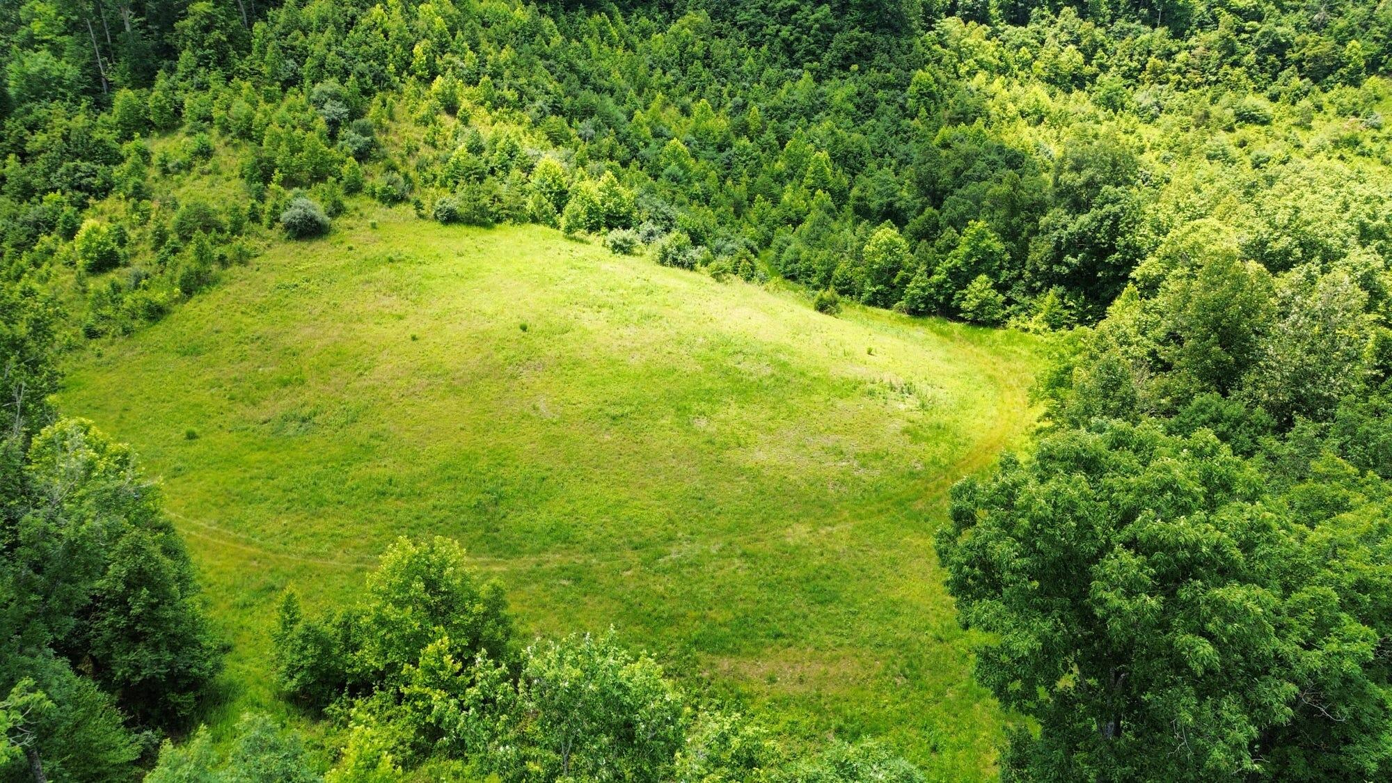 3800a Butcher Hollow Rd Property Photo 56