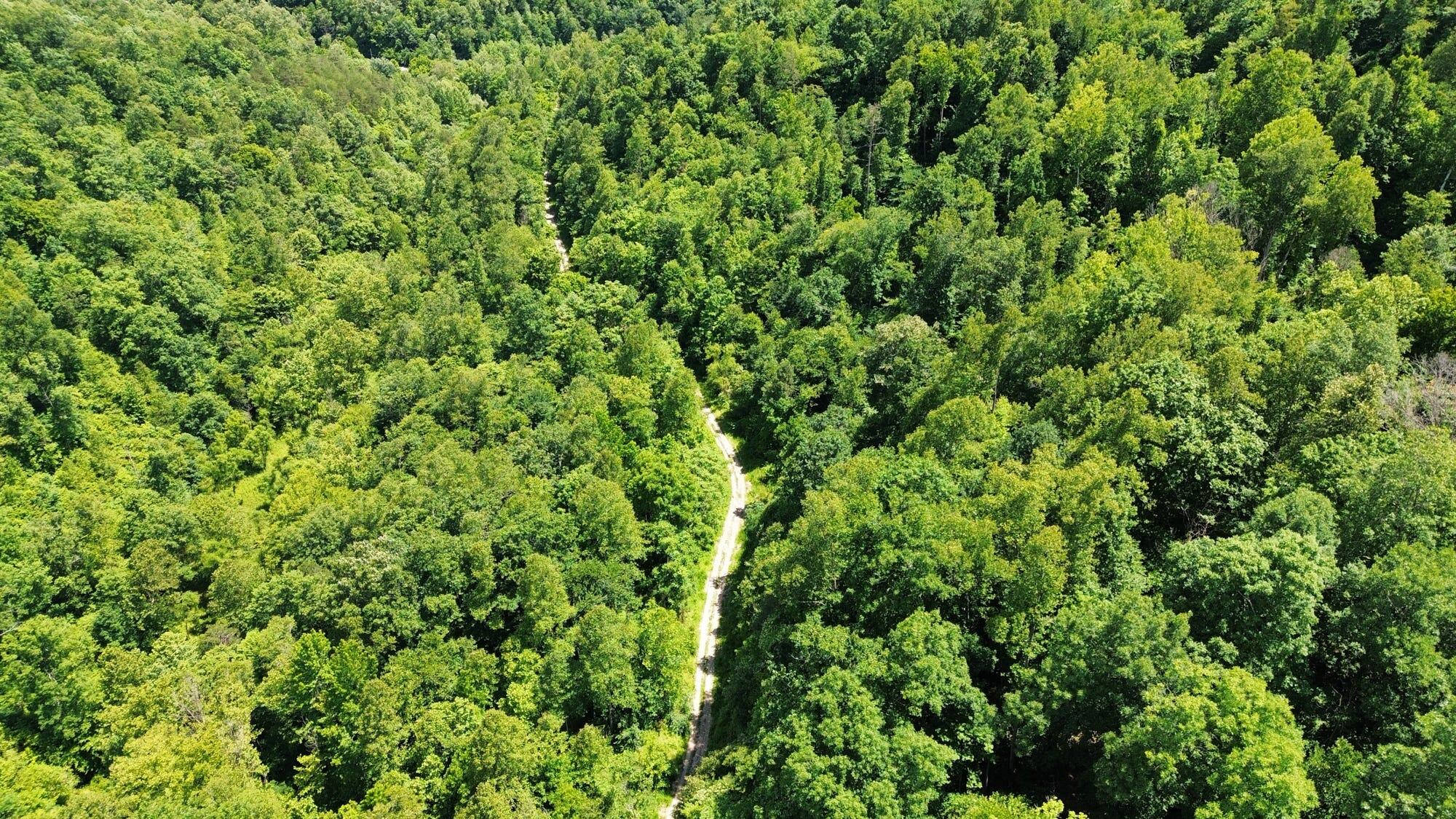 3800a Butcher Hollow Rd Property Photo 57