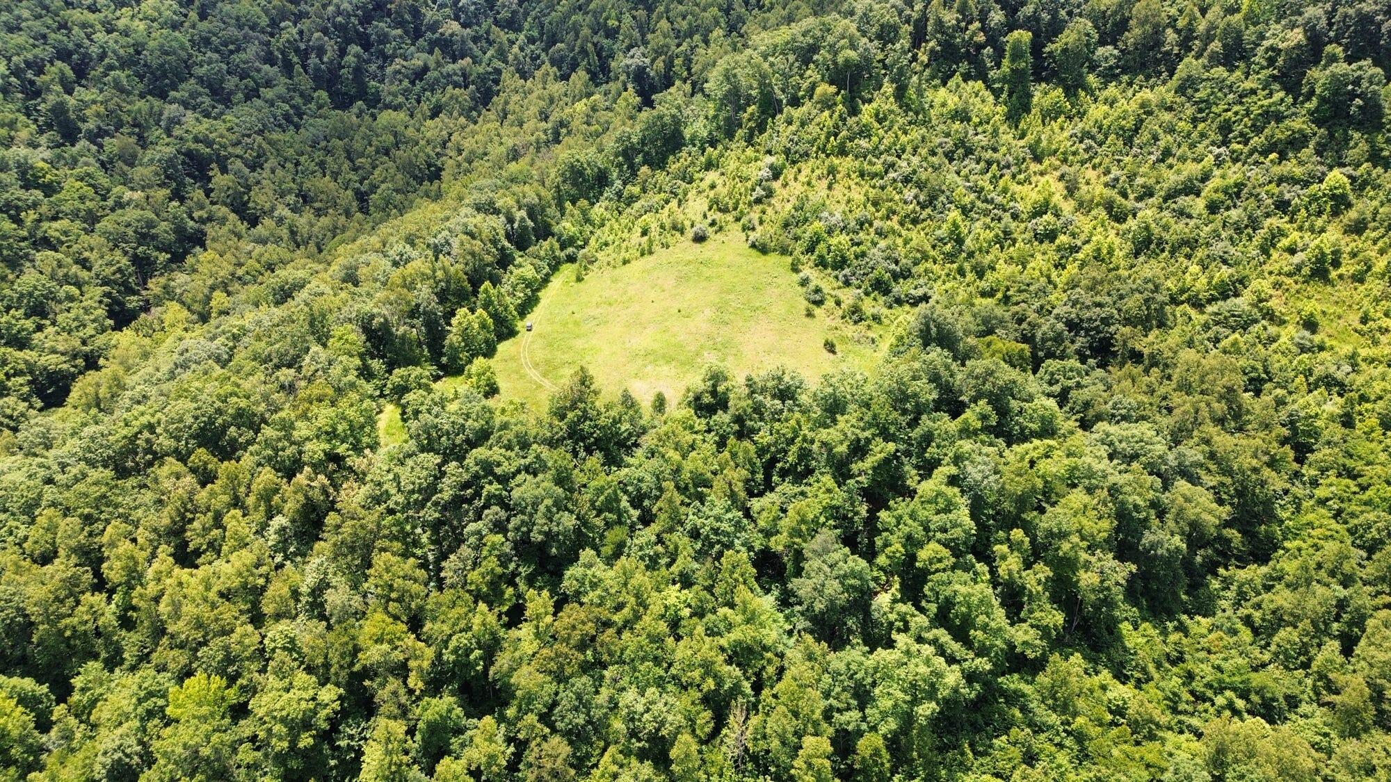 3800a Butcher Hollow Rd Property Photo 58
