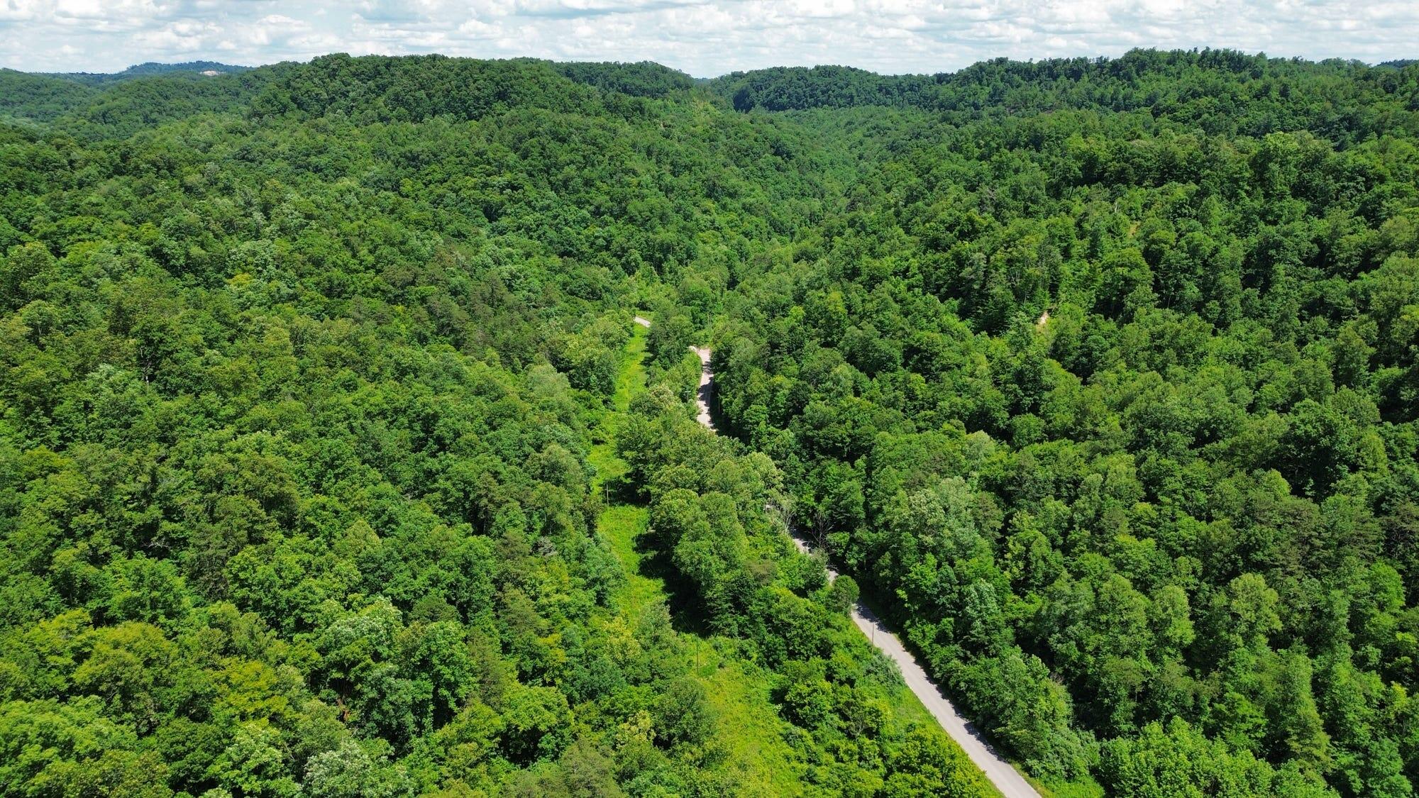 3800a Butcher Hollow Rd Property Photo 59