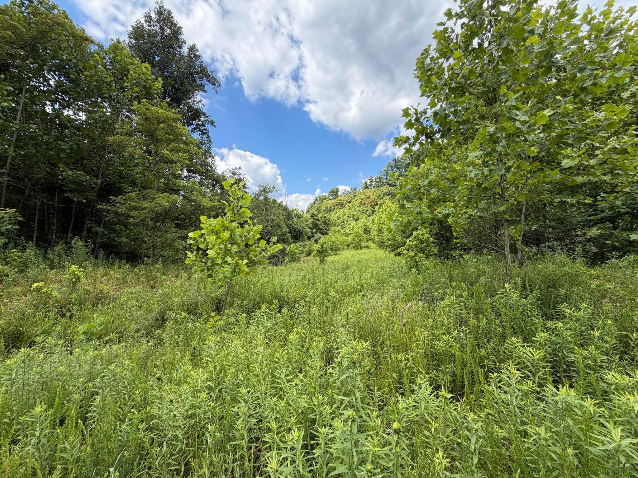 3800a Butcher Hollow Rd Property Photo 64