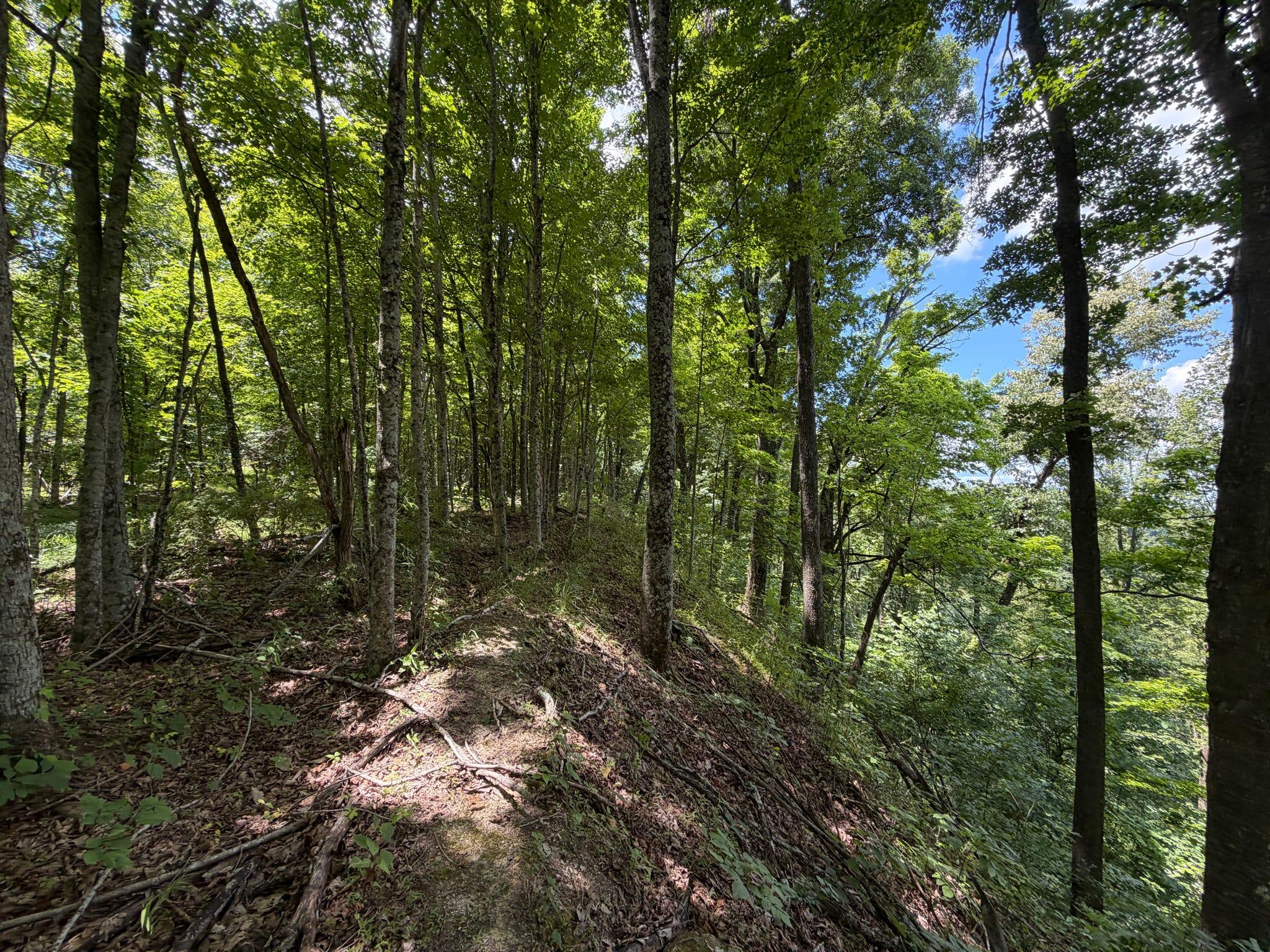 3800a Butcher Hollow Rd Property Photo 65