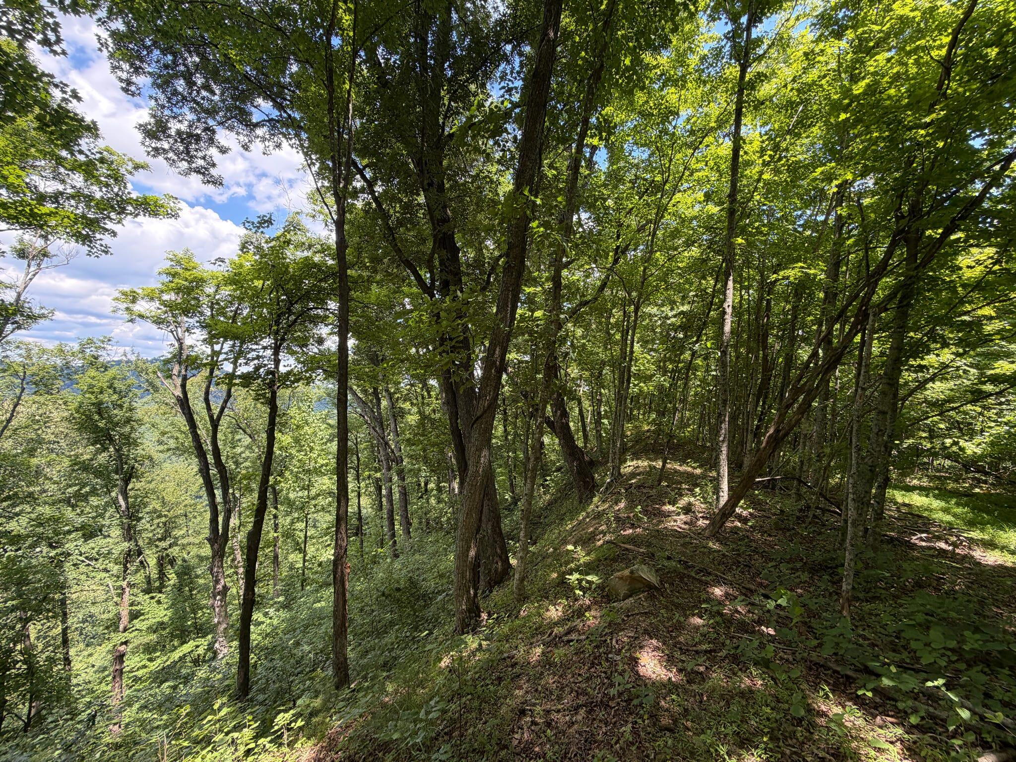 3800a Butcher Hollow Rd Property Photo 66