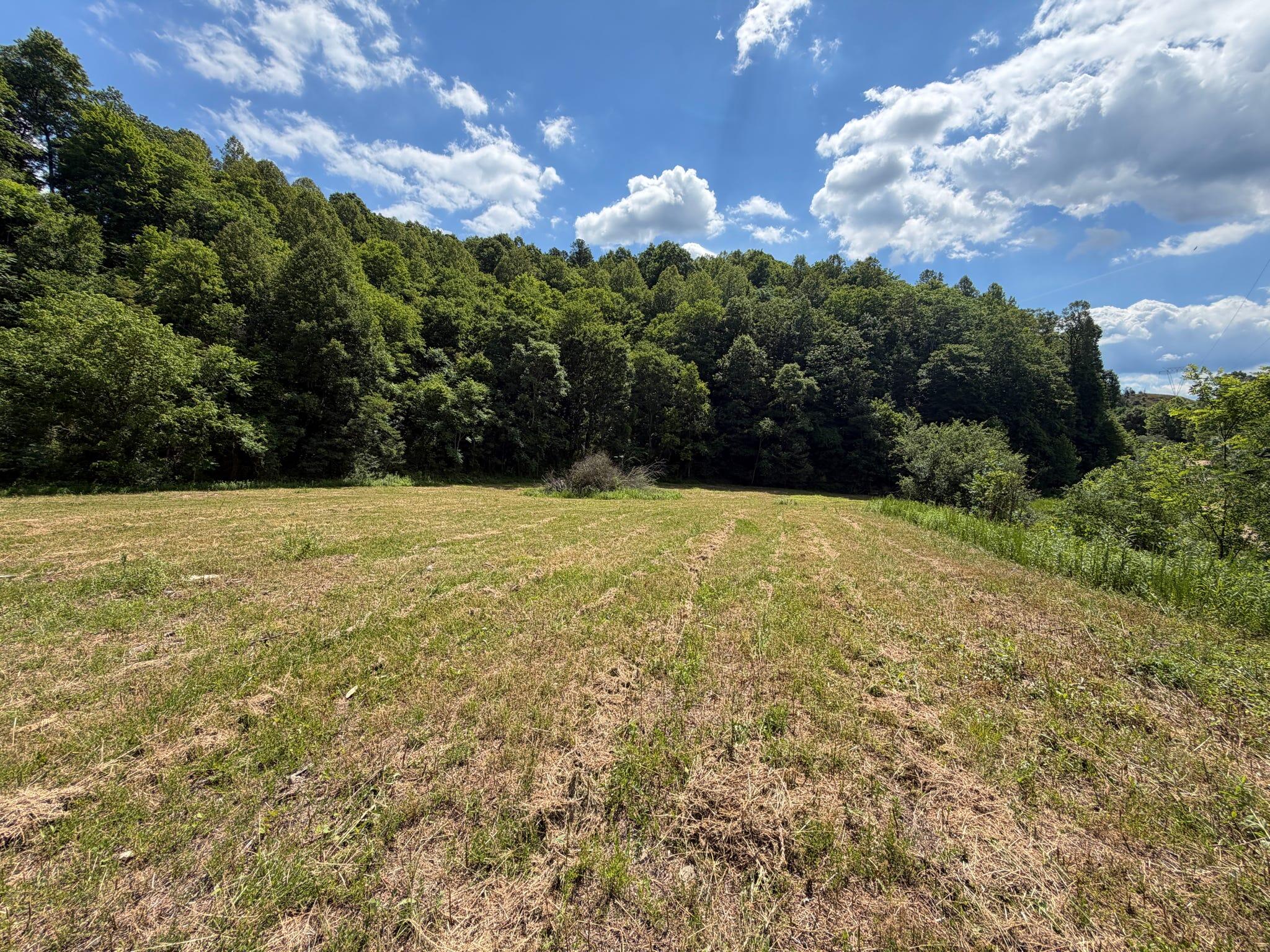 3800a Butcher Hollow Rd Property Photo 67