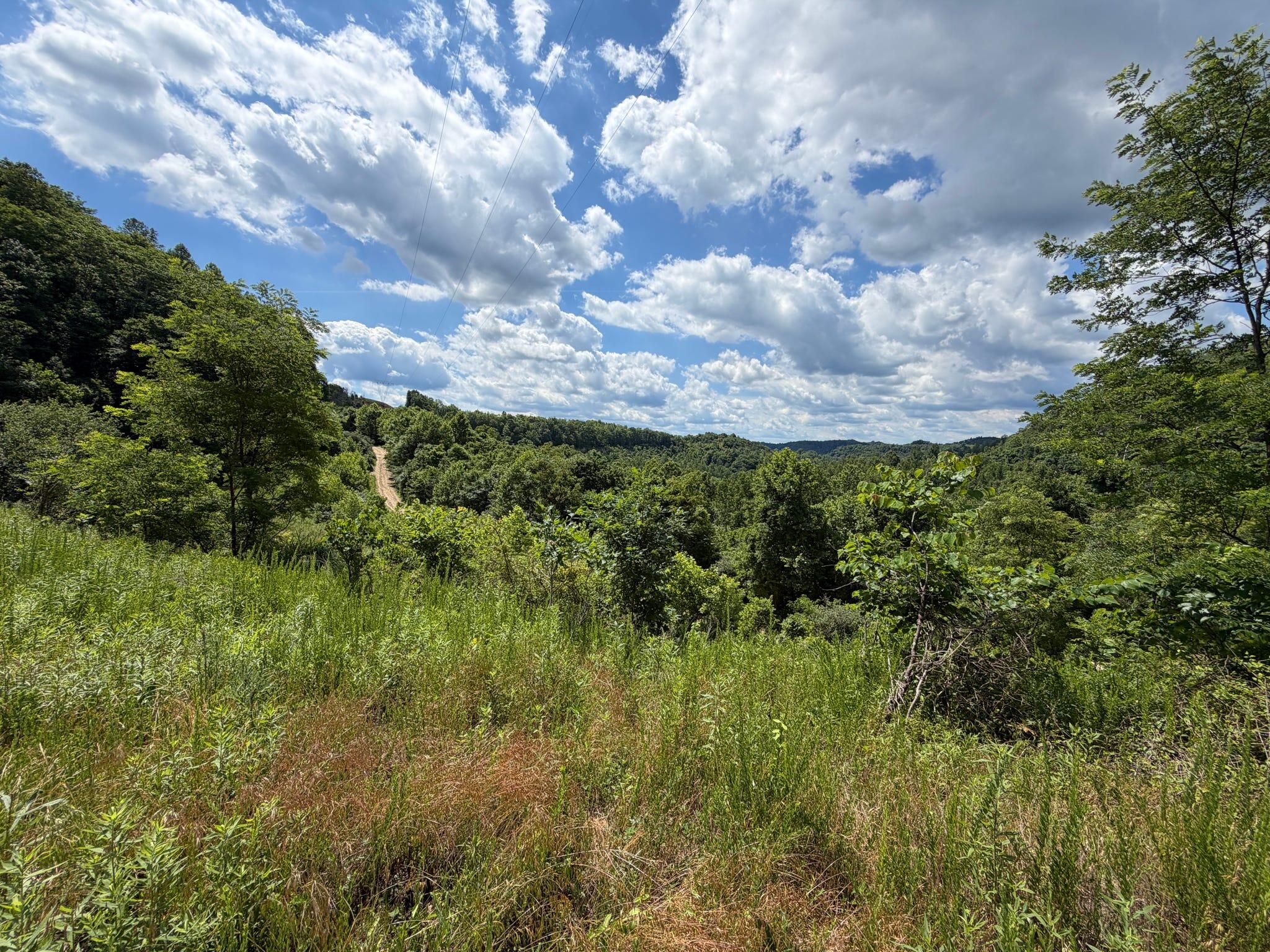 3800a Butcher Hollow Rd Property Photo 68