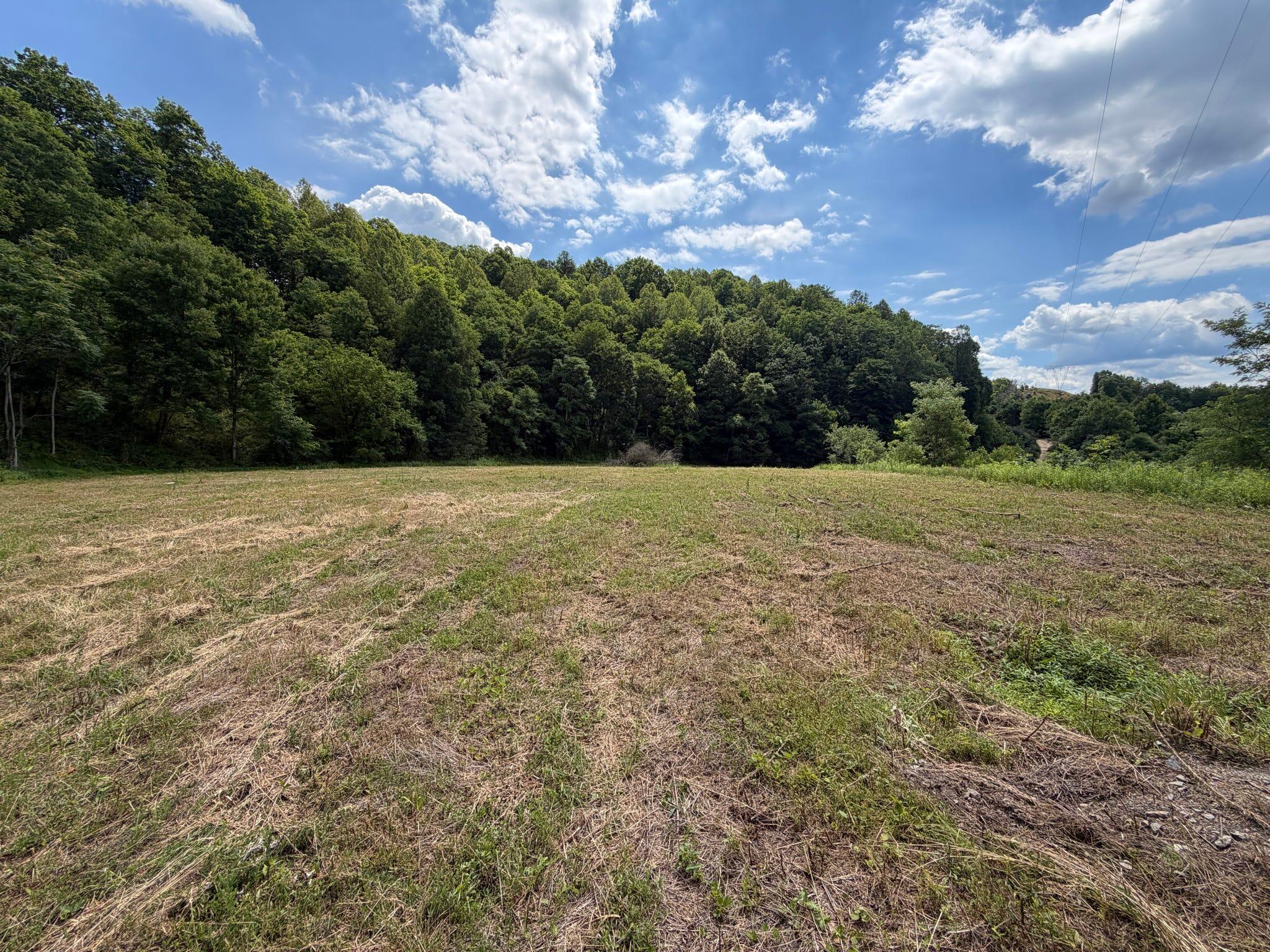 3800a Butcher Hollow Rd Property Photo 70