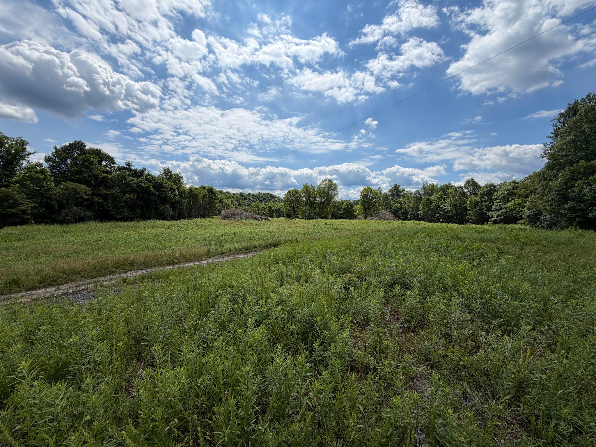 3800a Butcher Hollow Rd Property Photo 72