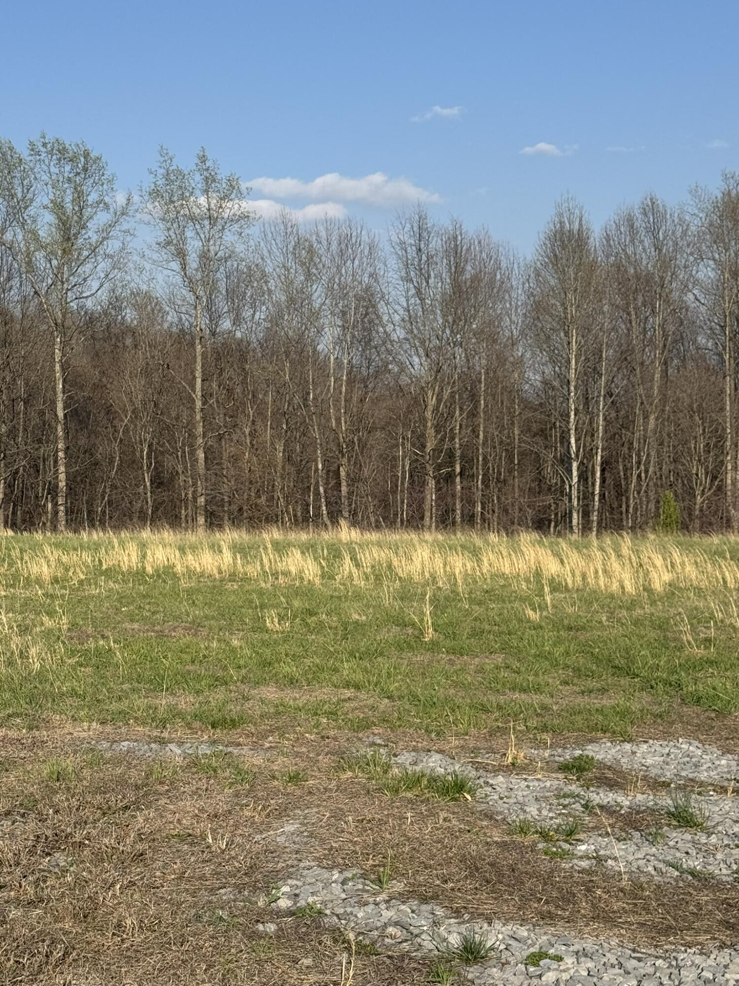 3136 Parks Ridge Road Property Photo 11