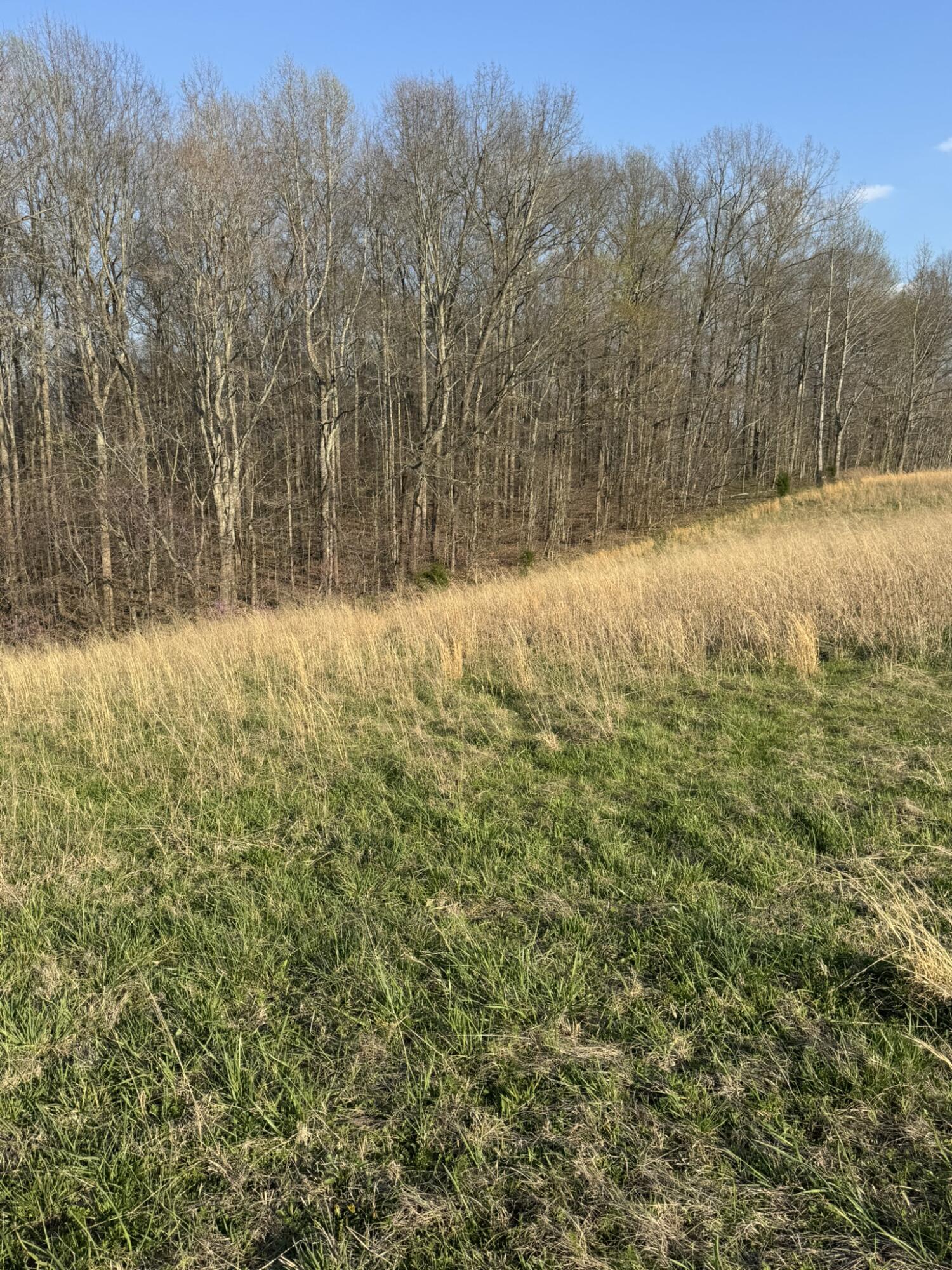 3136 Parks Ridge Road Property Photo 16