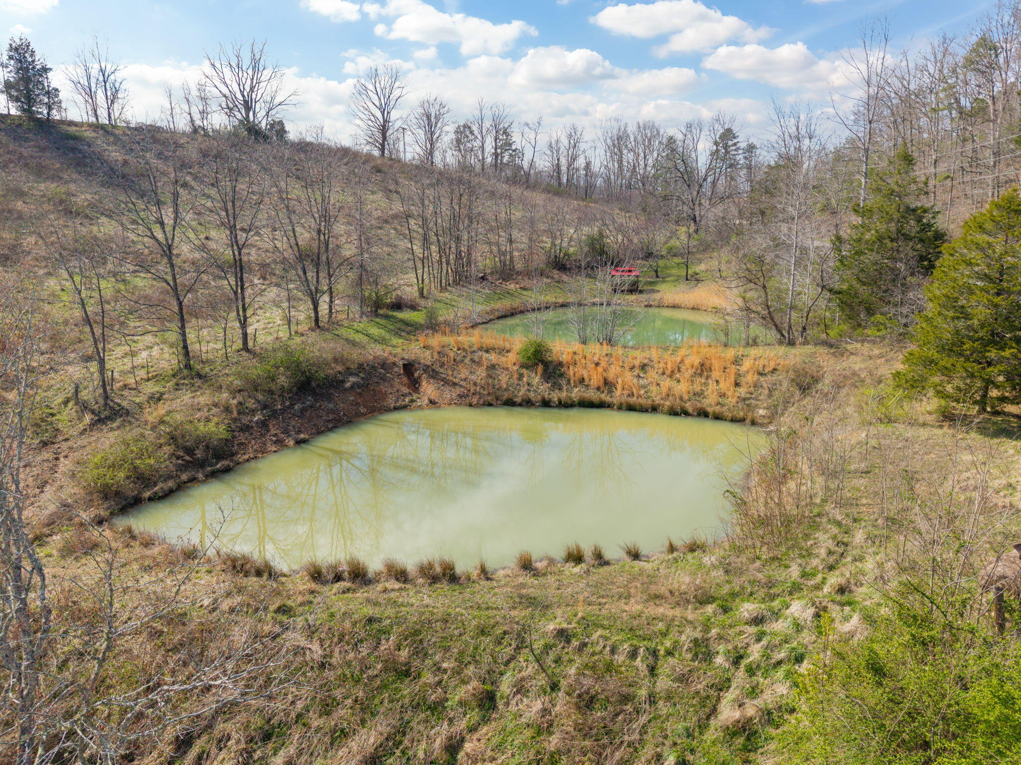 1709 State Hwy Property Photo 7