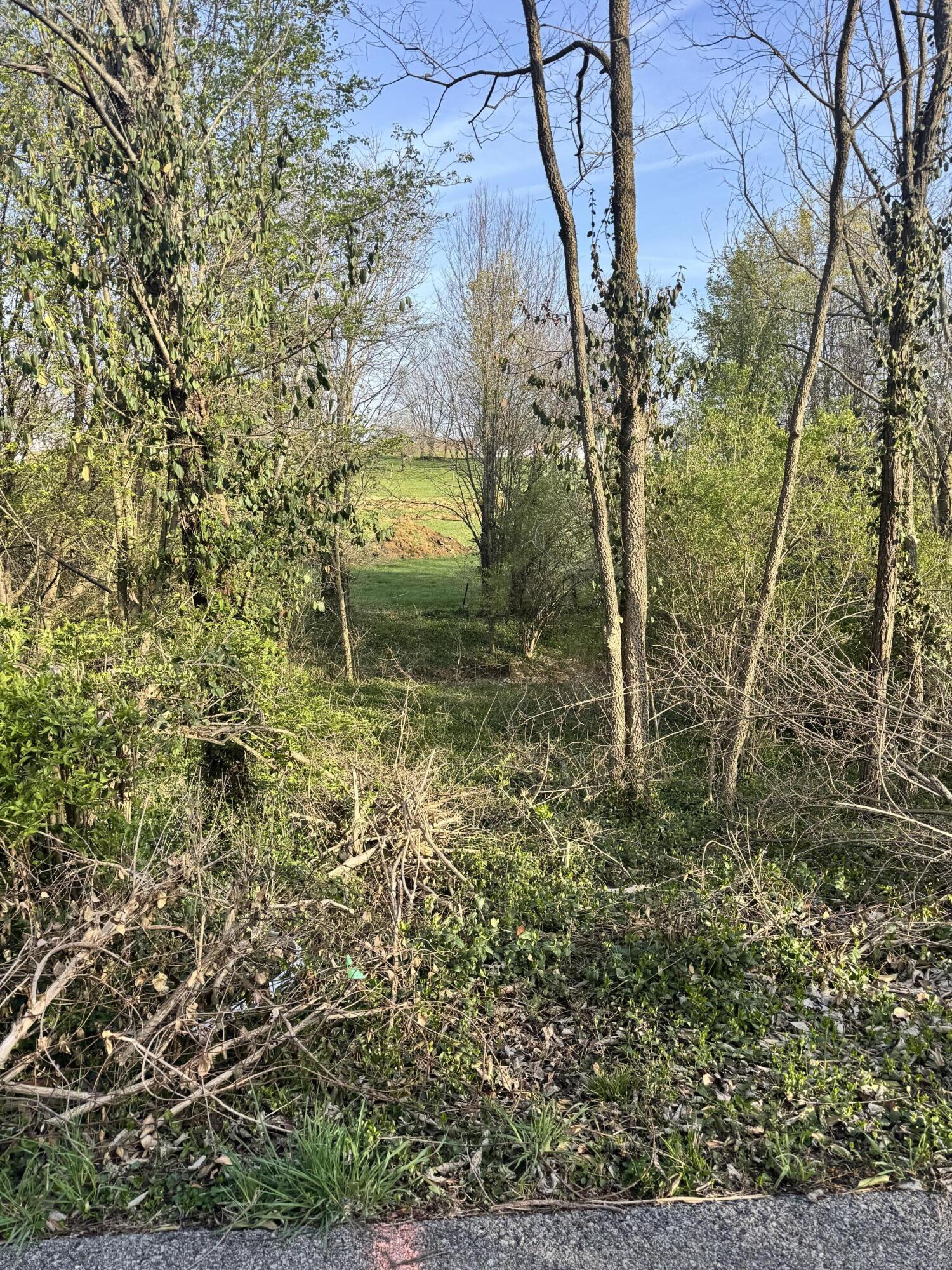 Lot #1 Freeman Lane Property Photo 3