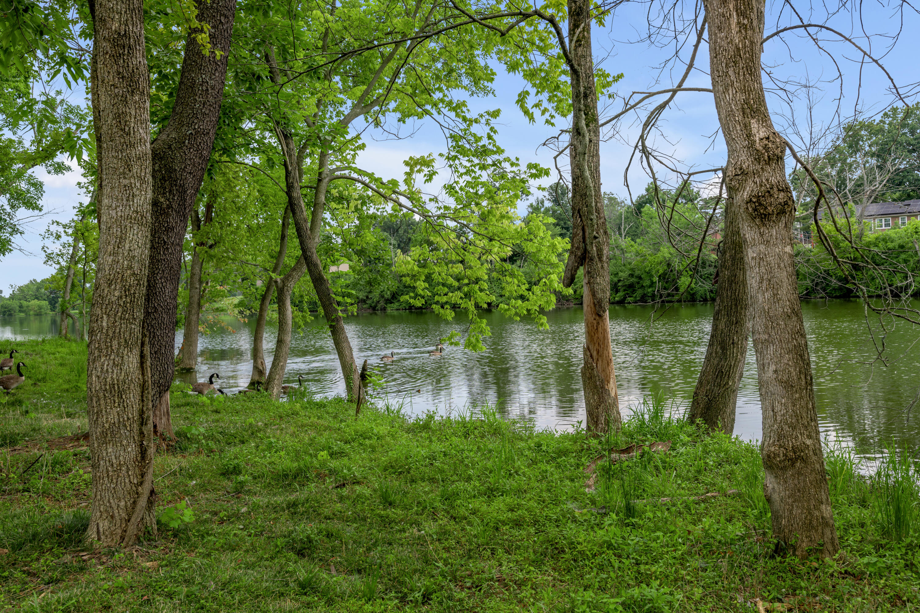 761 Shady Cove Property Photo 33