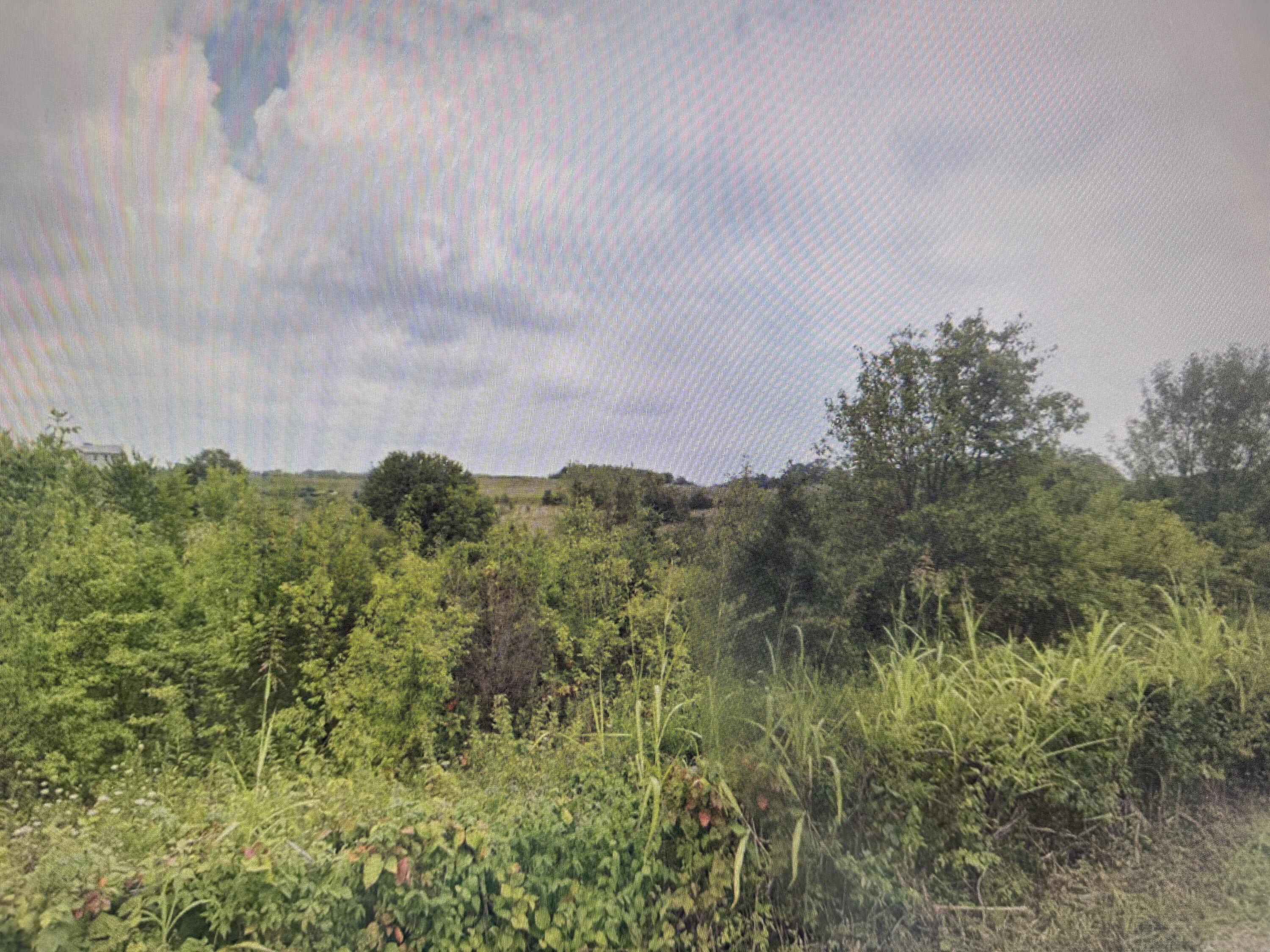 Lot #6 Freeman Lane Property Photo 4