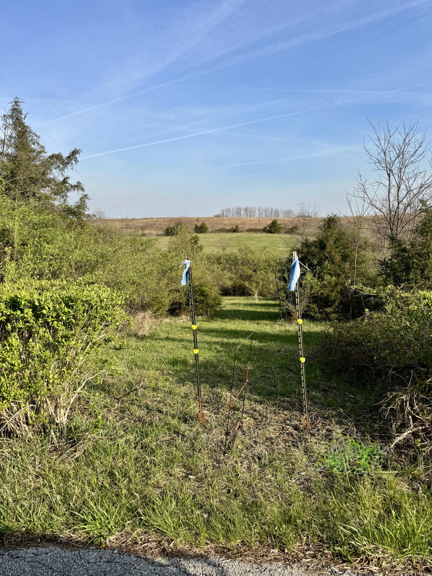 Lot #6 Freeman Lane Property Photo 5
