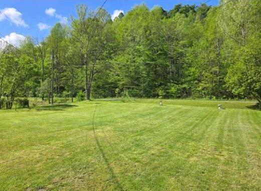 2246 Asa Creek Road Property Photo 6