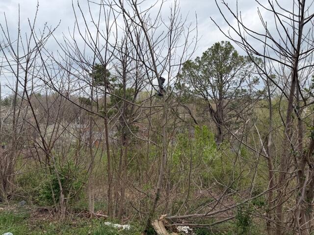 Lot 40 McFadden Drive Property Photo 1