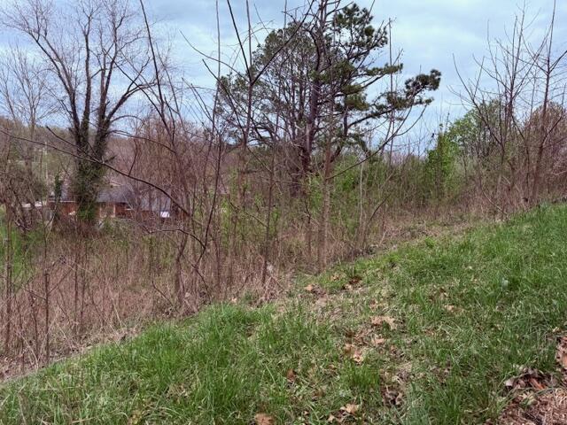 Lot 40 Mcfadden Drive Property Photo 2