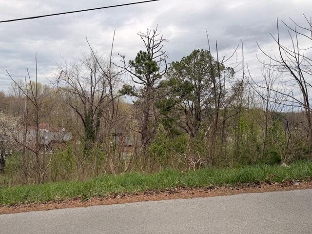 Lot 40 Mcfadden Drive Property Photo 3