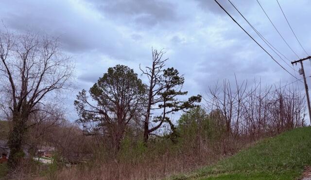 Lot 40 Mcfadden Drive Property Photo 4
