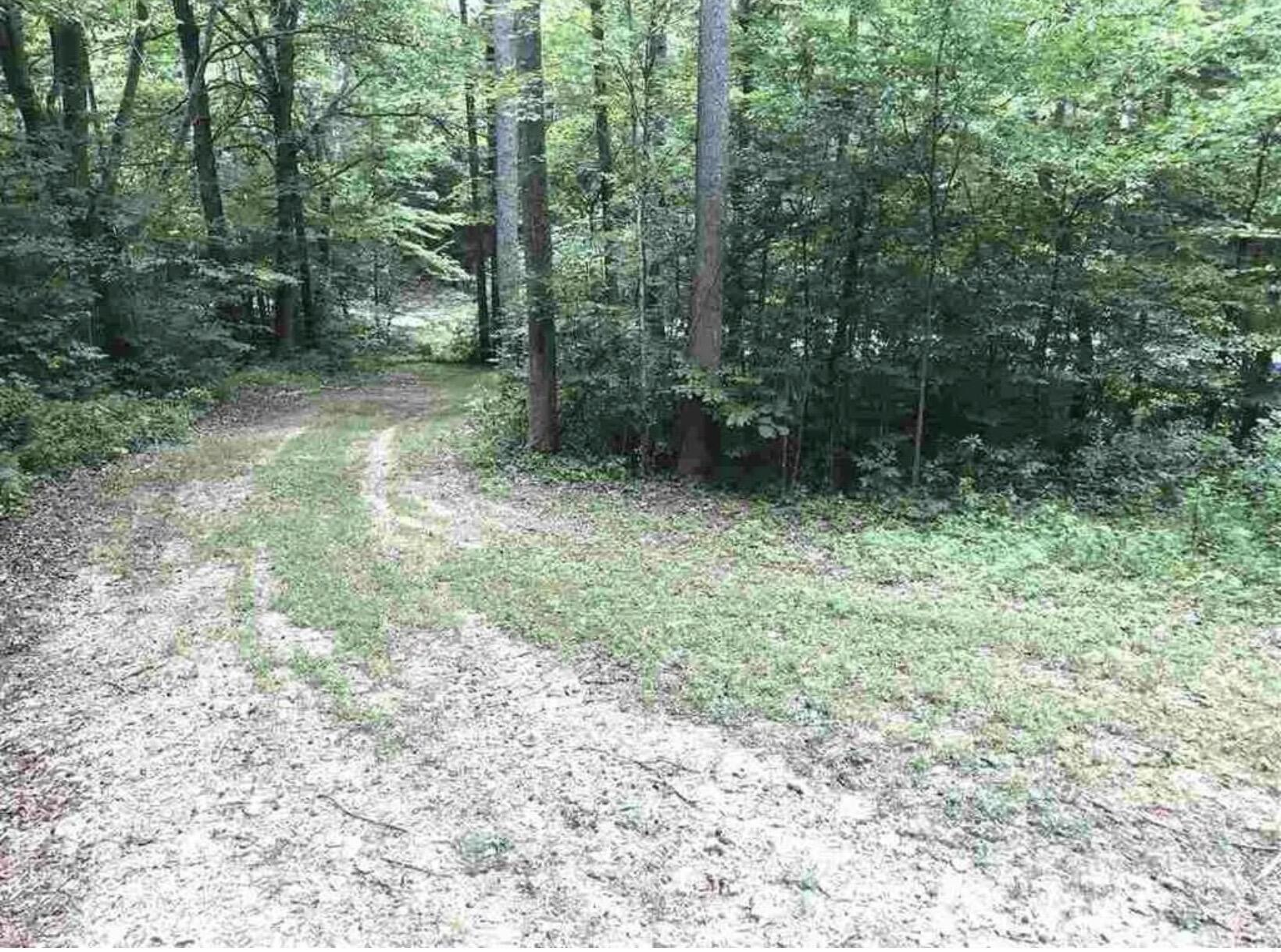 3252 Scotts Branch Road Property Photo 7
