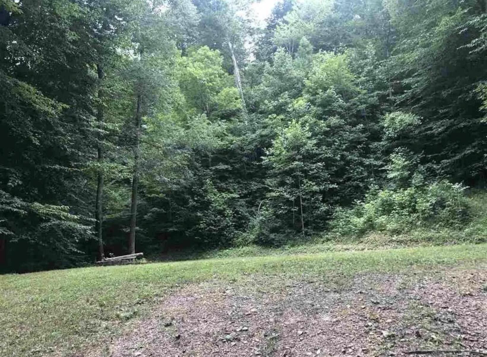 3252 Scotts Branch Road Property Photo 8
