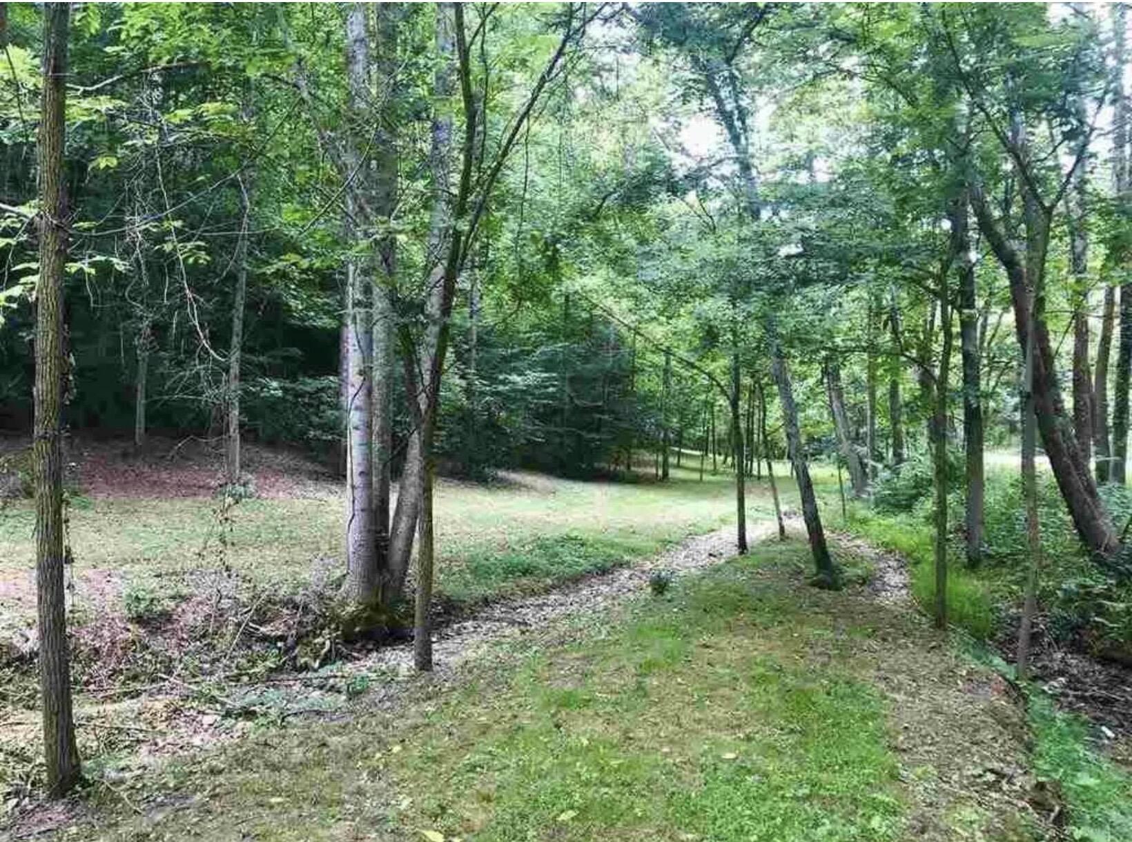 3252 Scotts Branch Road Property Photo 11