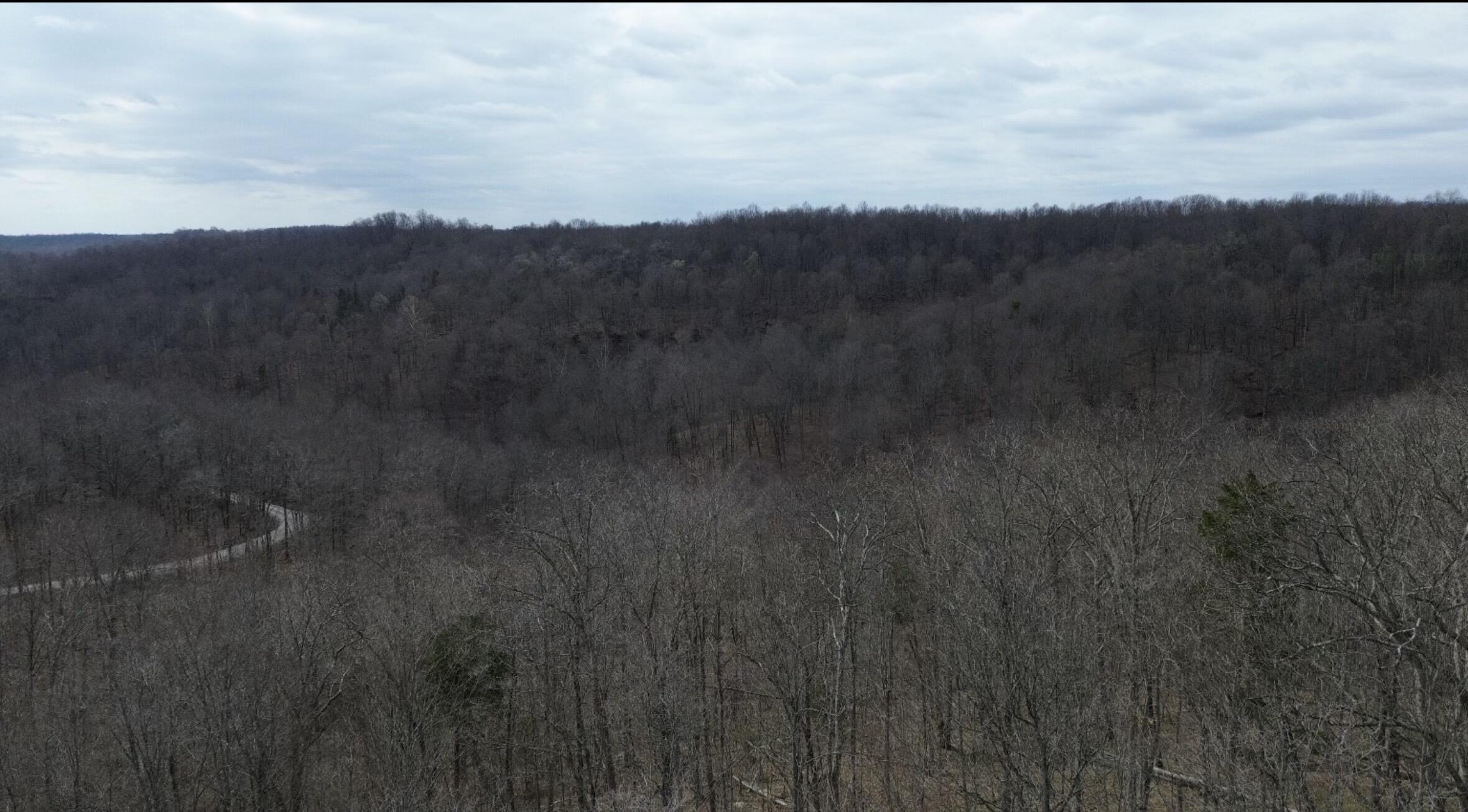 3252 Scotts Branch Road Property Photo 31