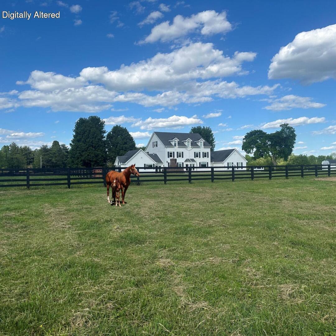 3600 Briar Hill Road Property Photo 5