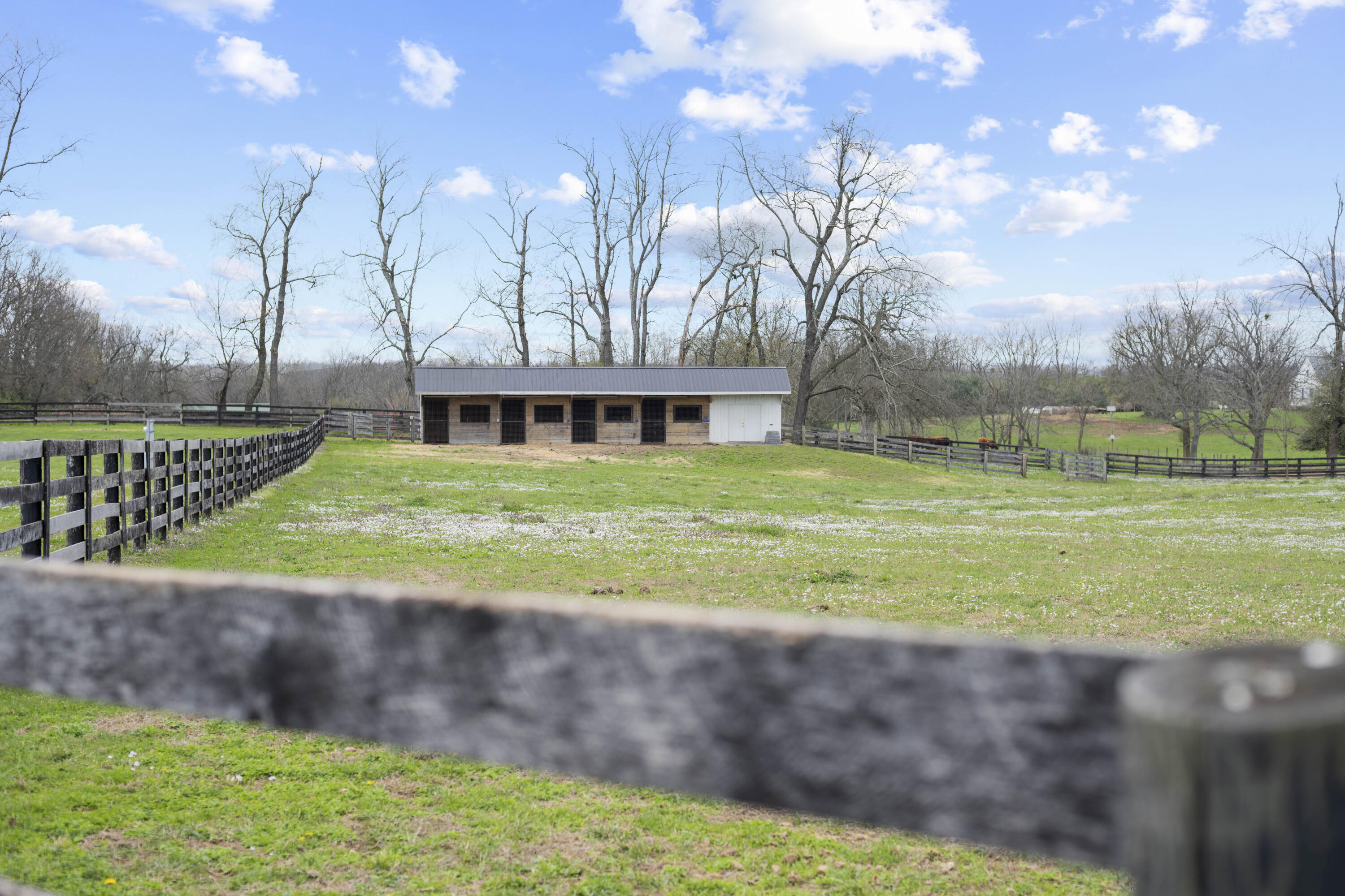 3600 Briar Hill Road Property Photo 83