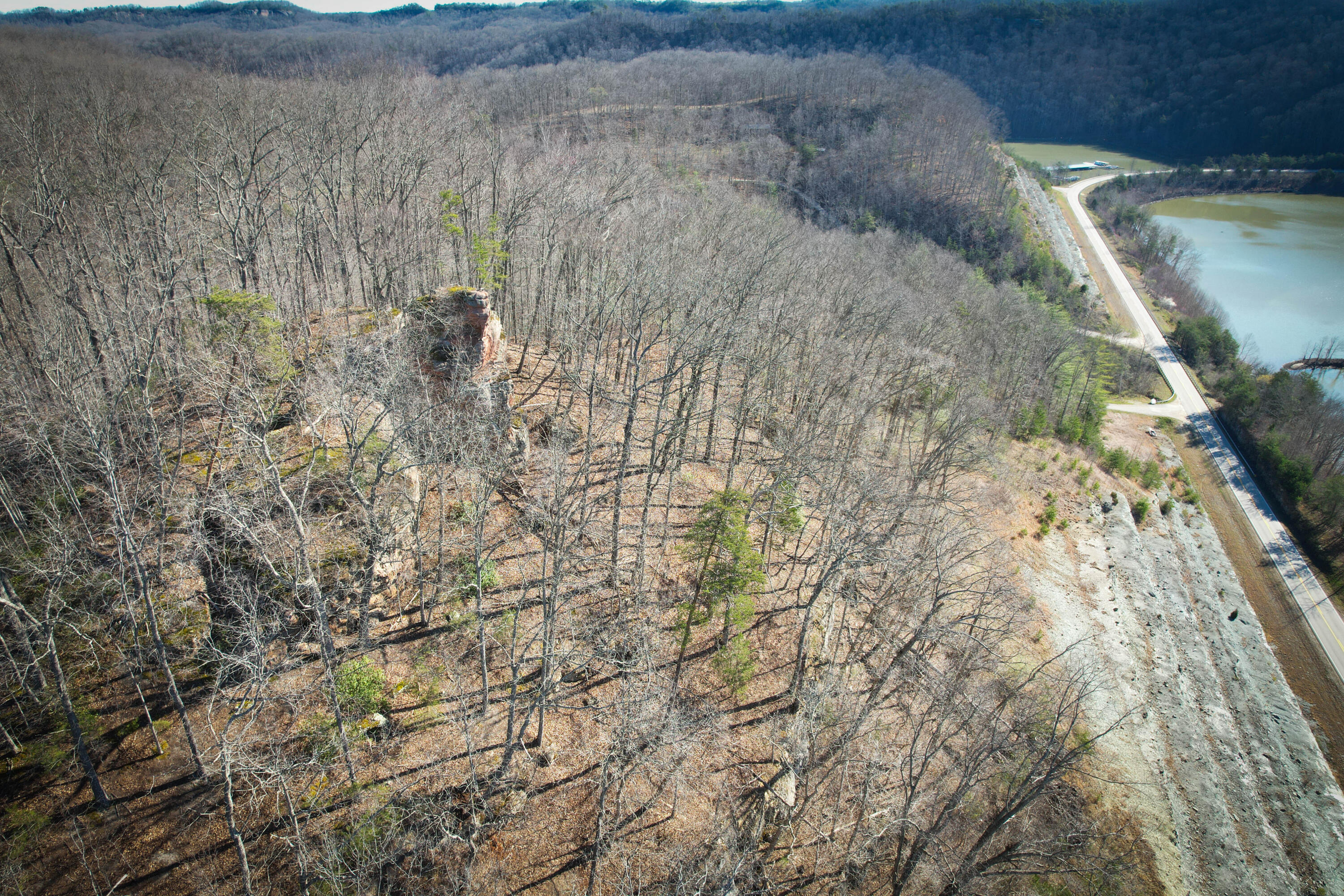 1 Whispering Oaks Road Property Photo 8