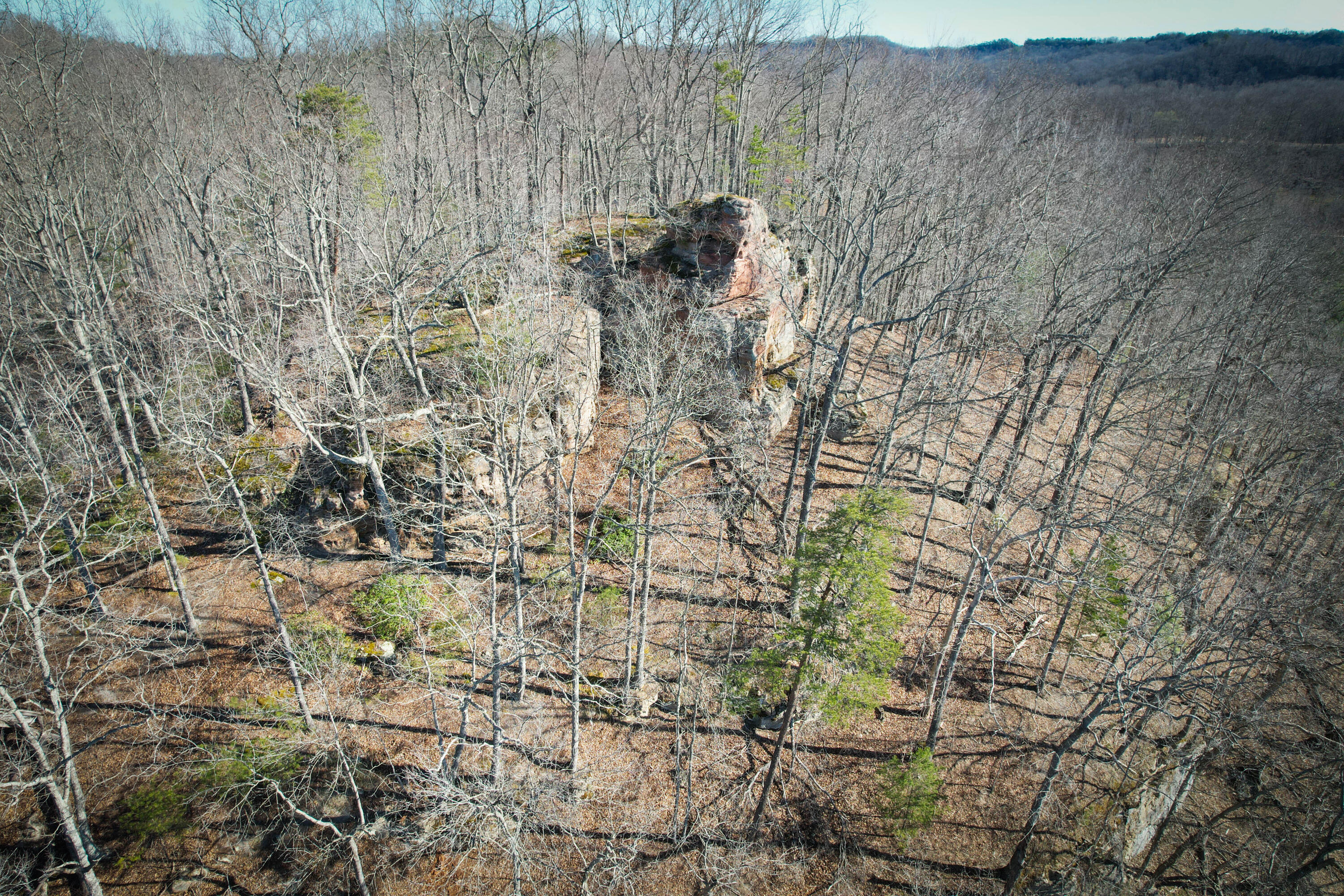 1 Whispering Oaks Road Property Photo 9