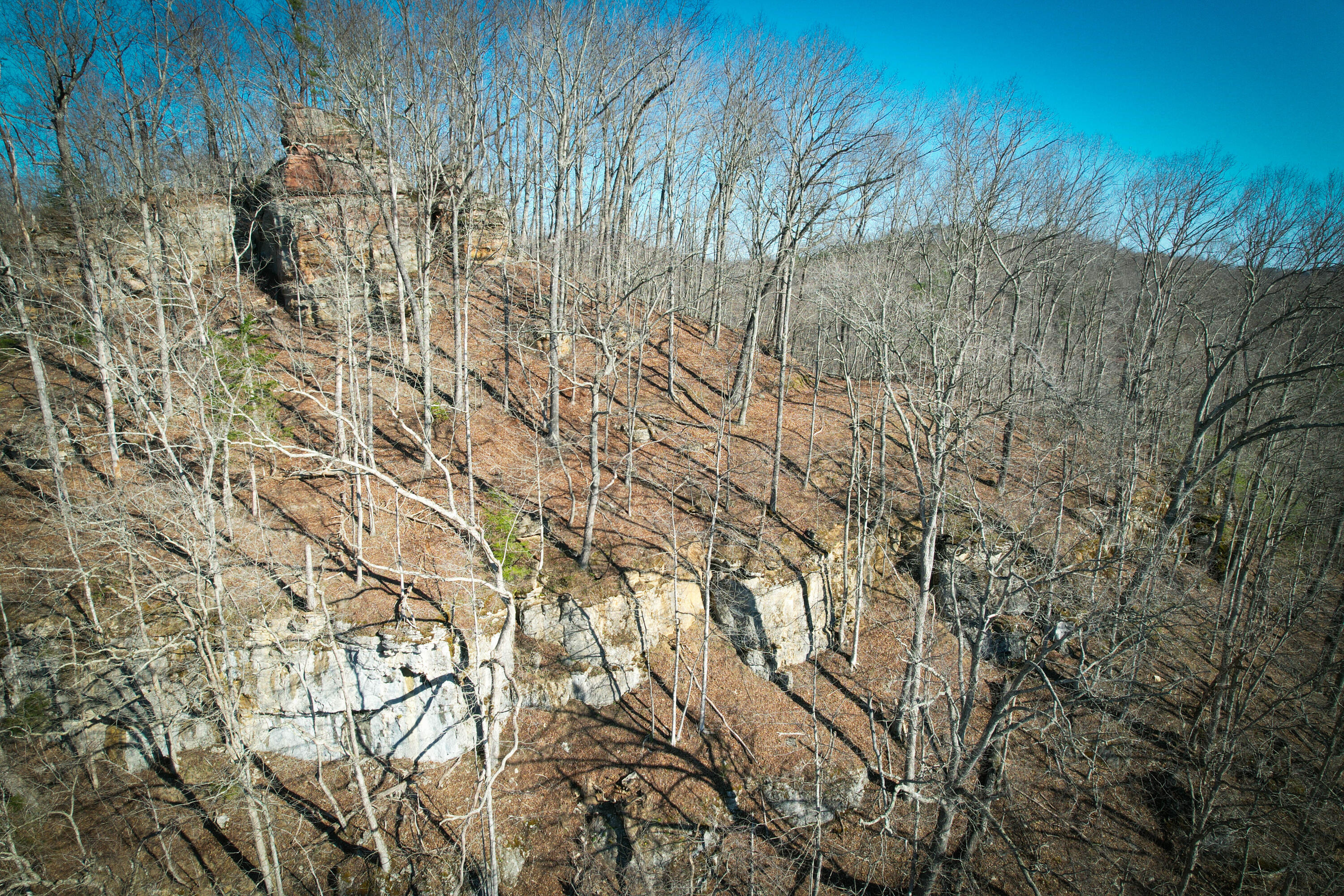 1 Whispering Oaks Road Property Photo 12