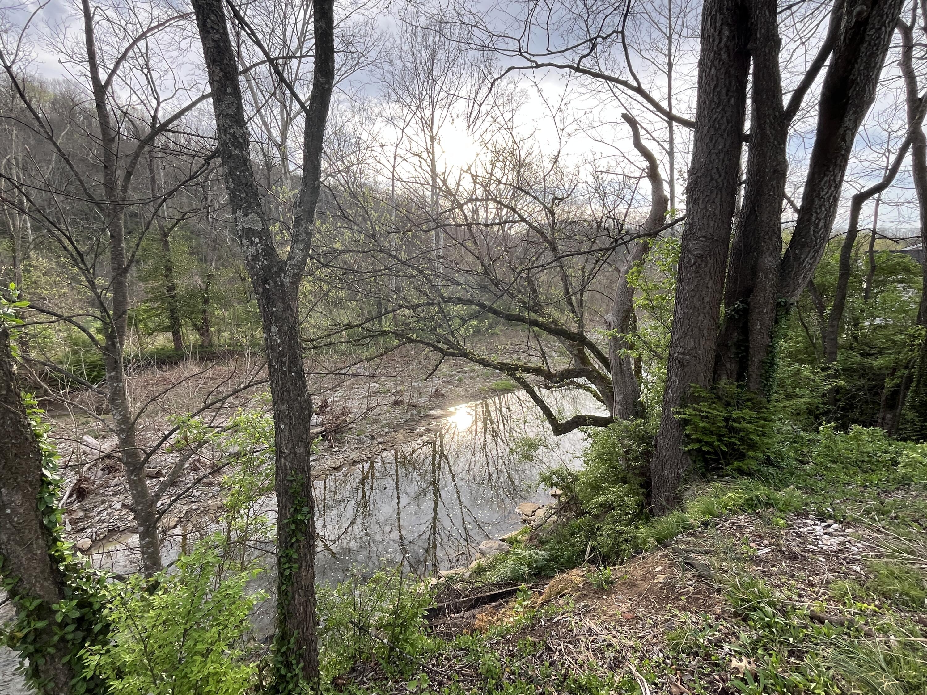 2633 Tates Creek Road Property Photo 3